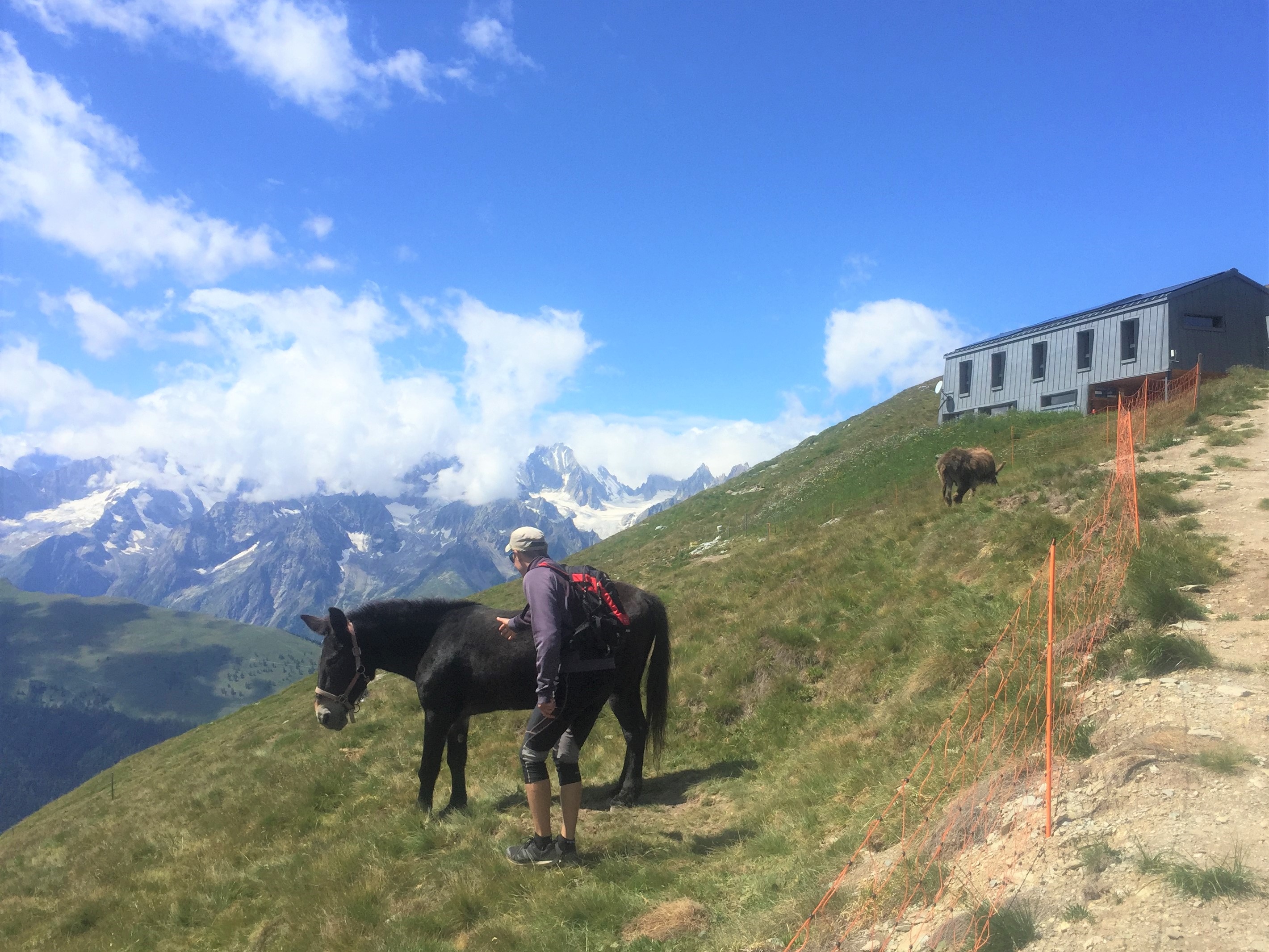 photo de Mont Brûlé