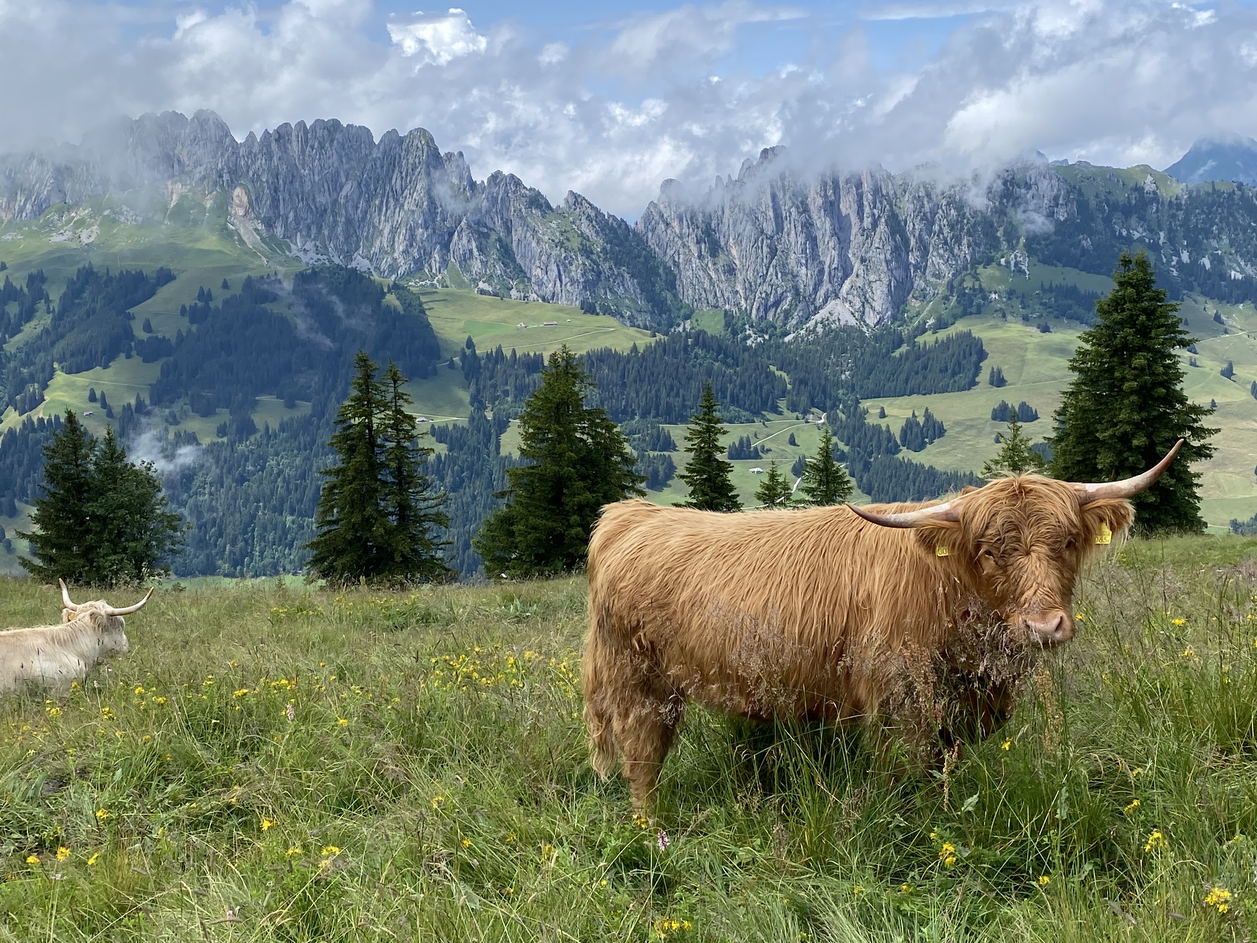 photo de Hundsrügg
