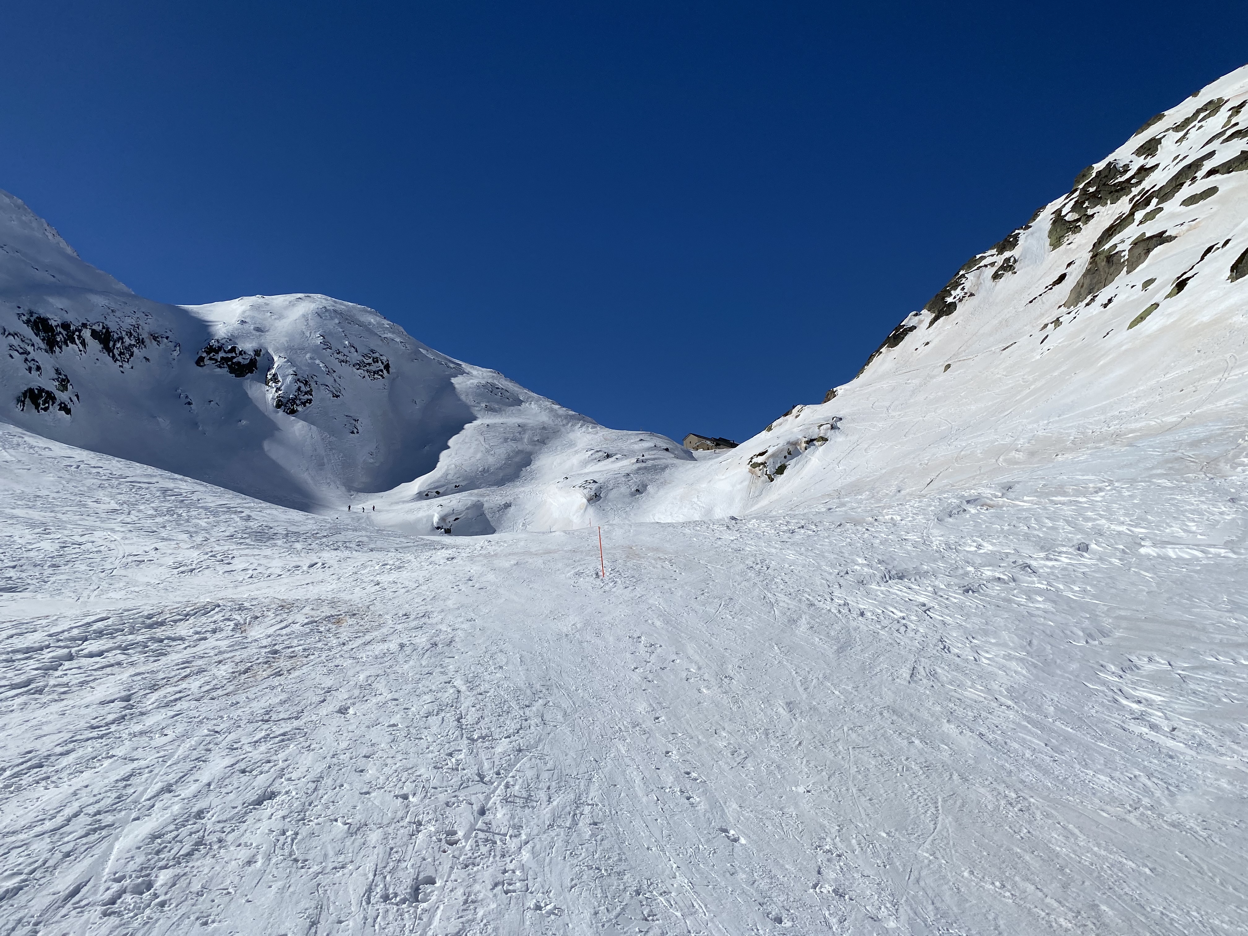 photo de Col du Grand-Saint-Bernard (et Hospice)
