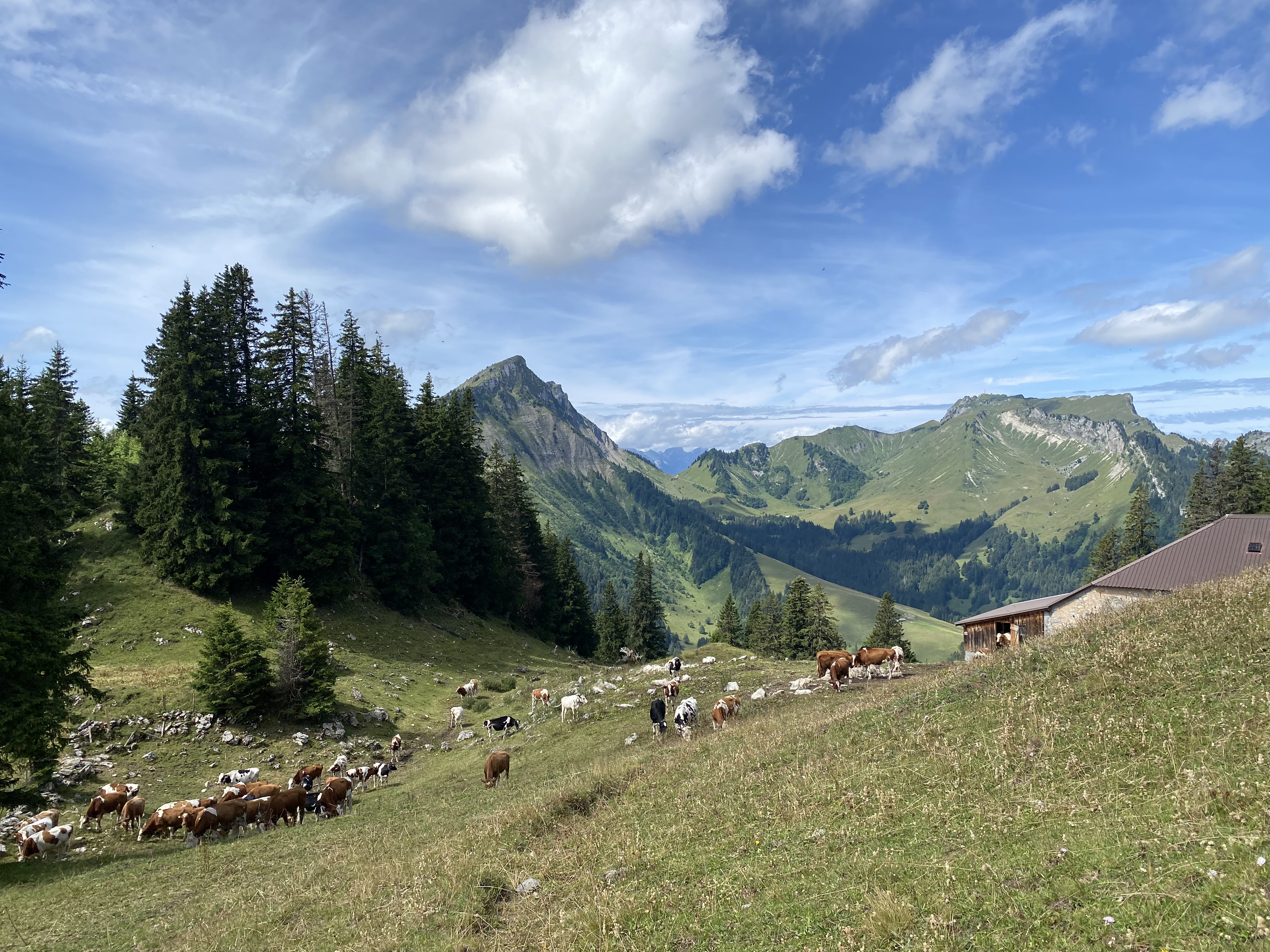photo de Planachaux (en dessus du Lac de l'Hongrin)