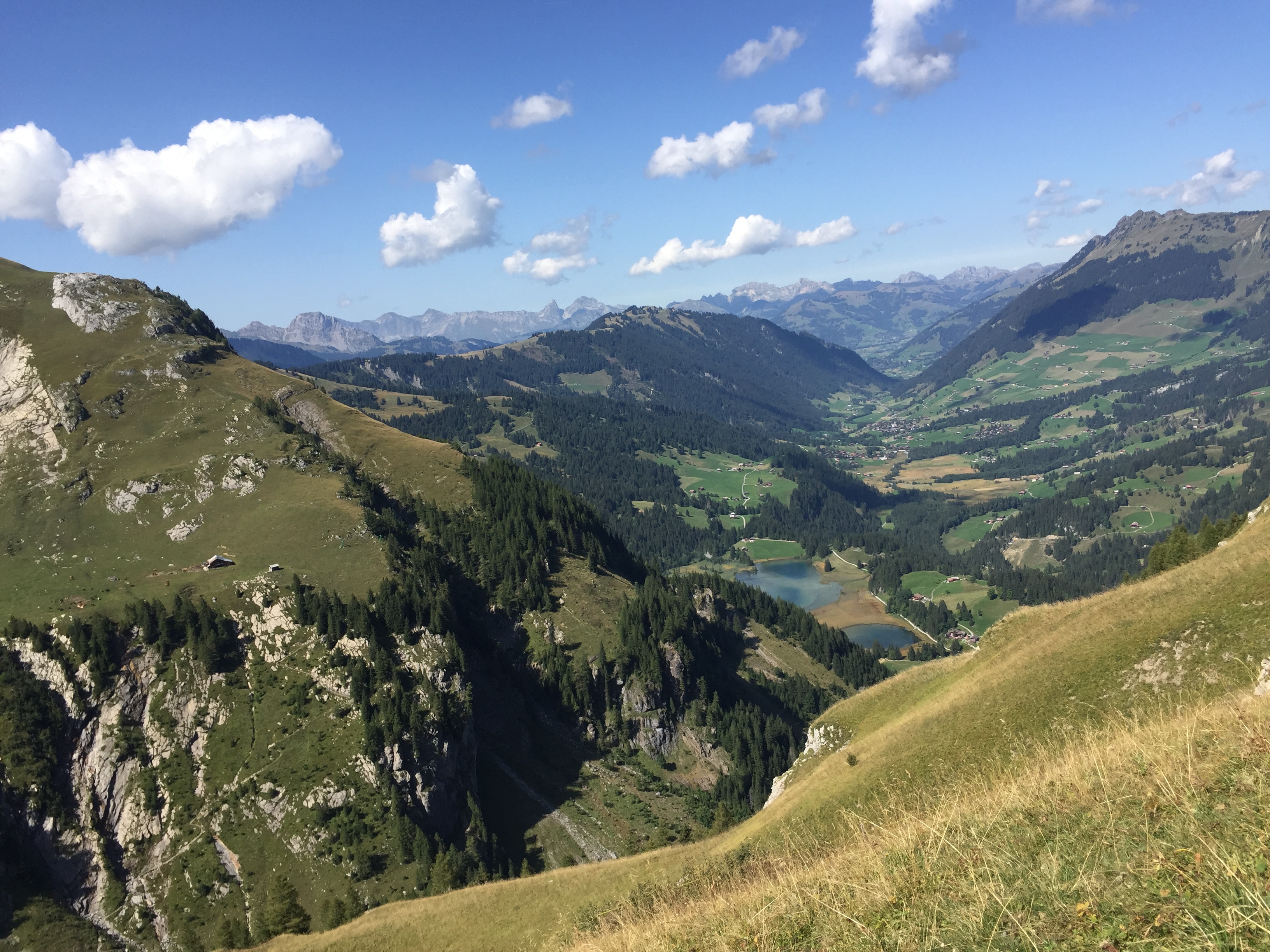 photo de Cabane de Gelten (Geltenhütte)
