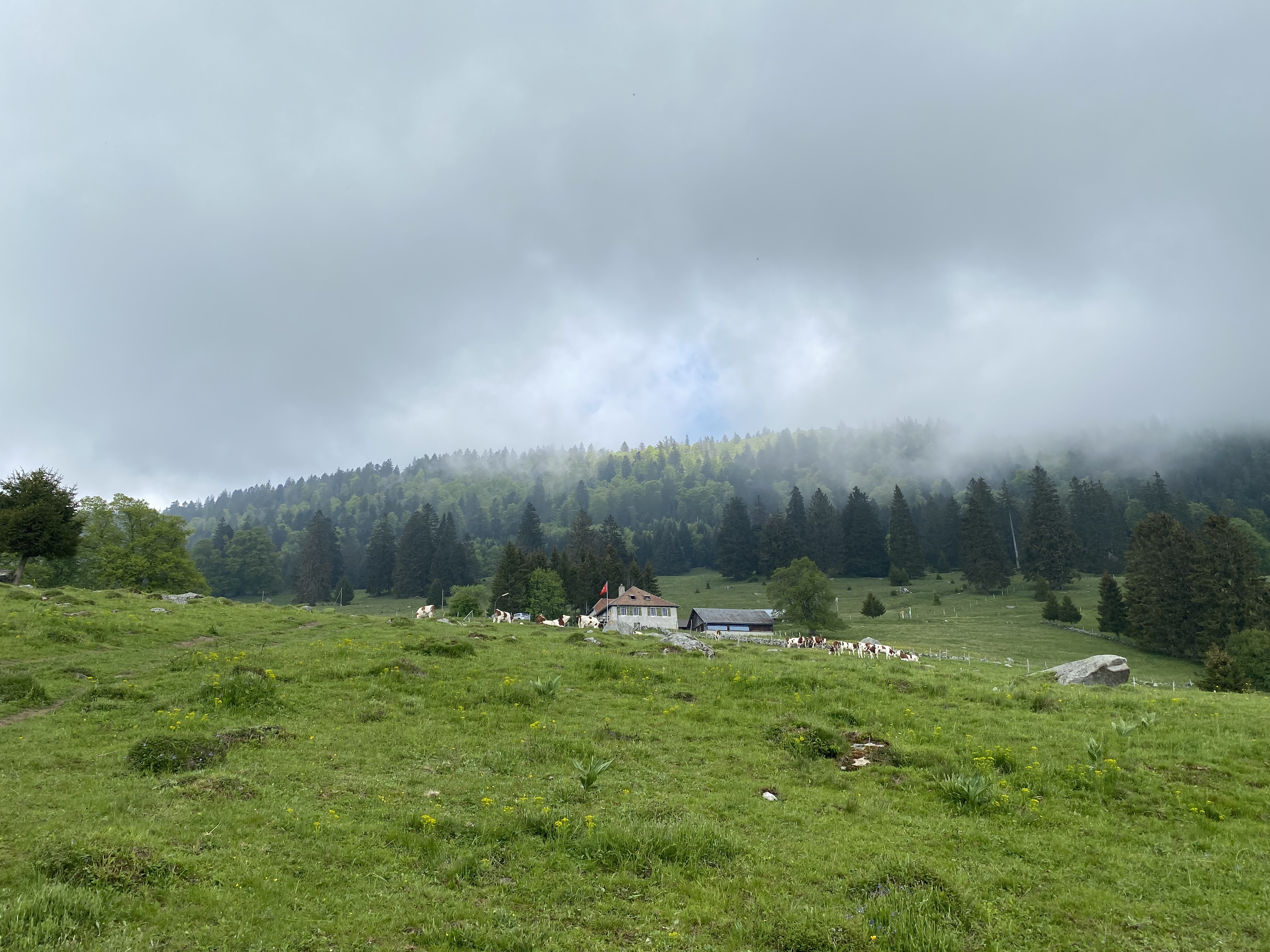 photo de Suchet (Le)