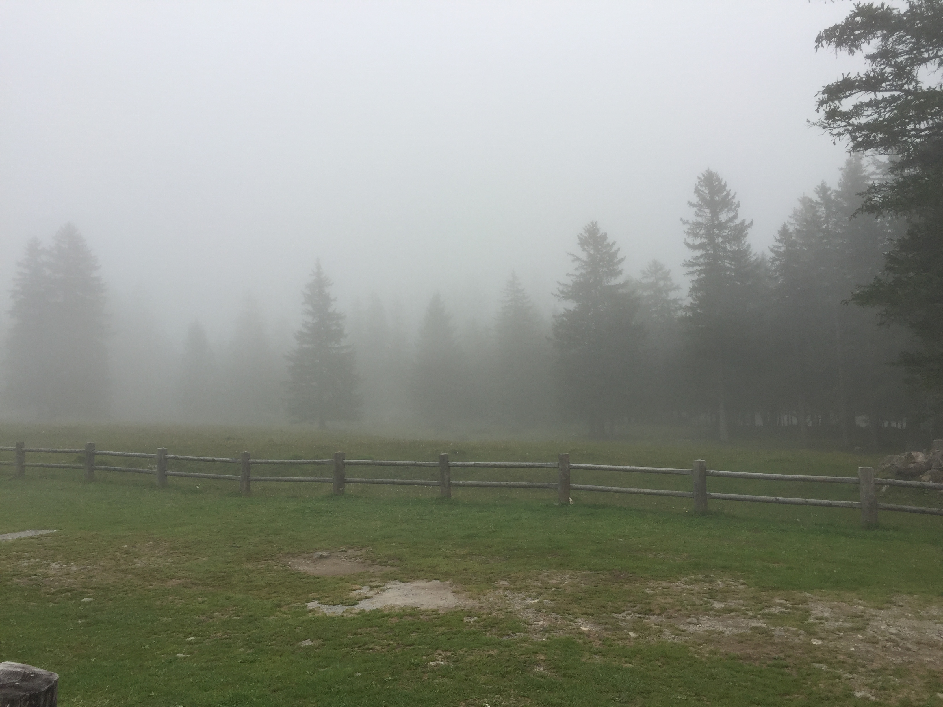 Solalex dans le brouillard