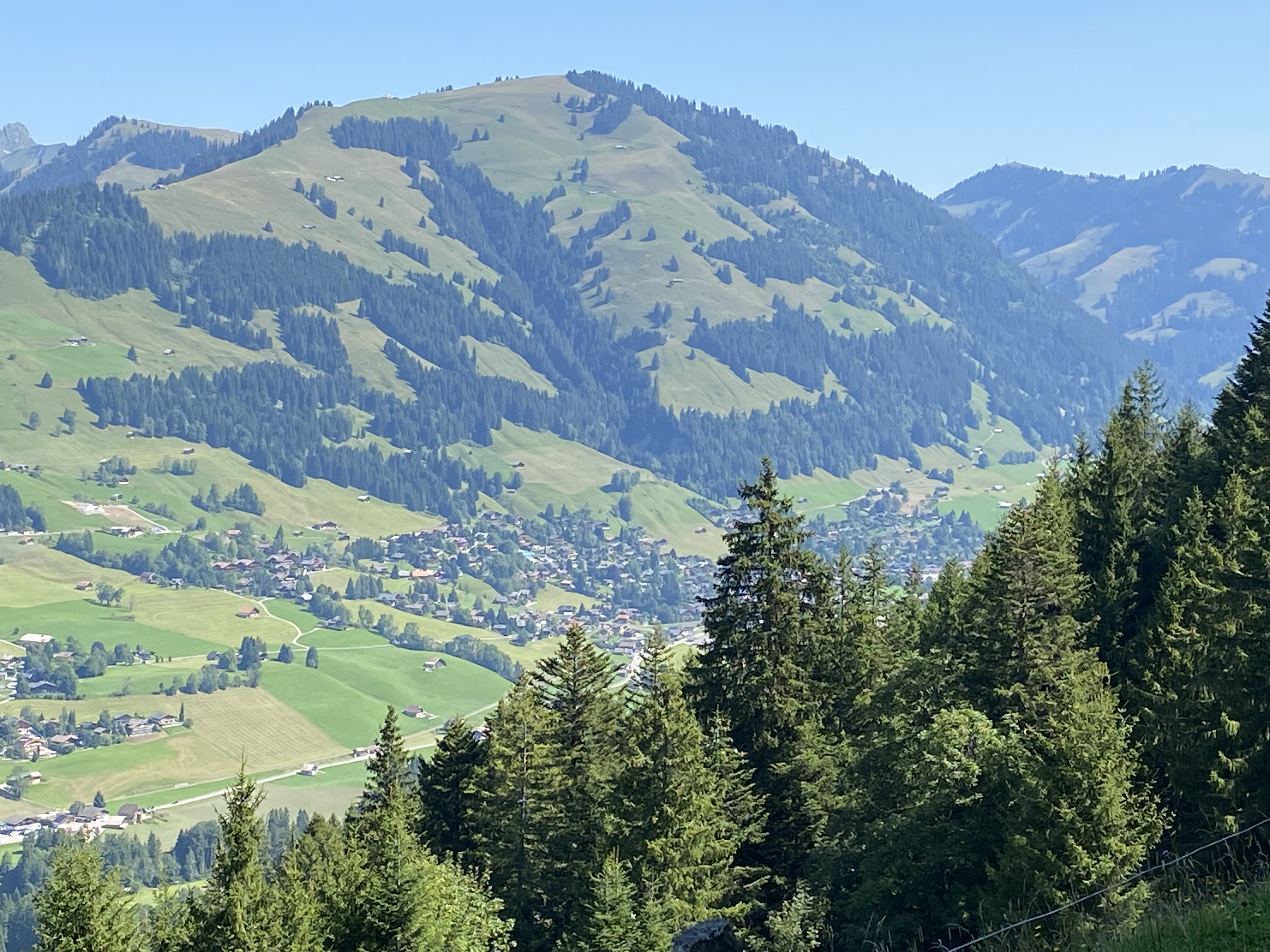 photo de Videmanette (La)