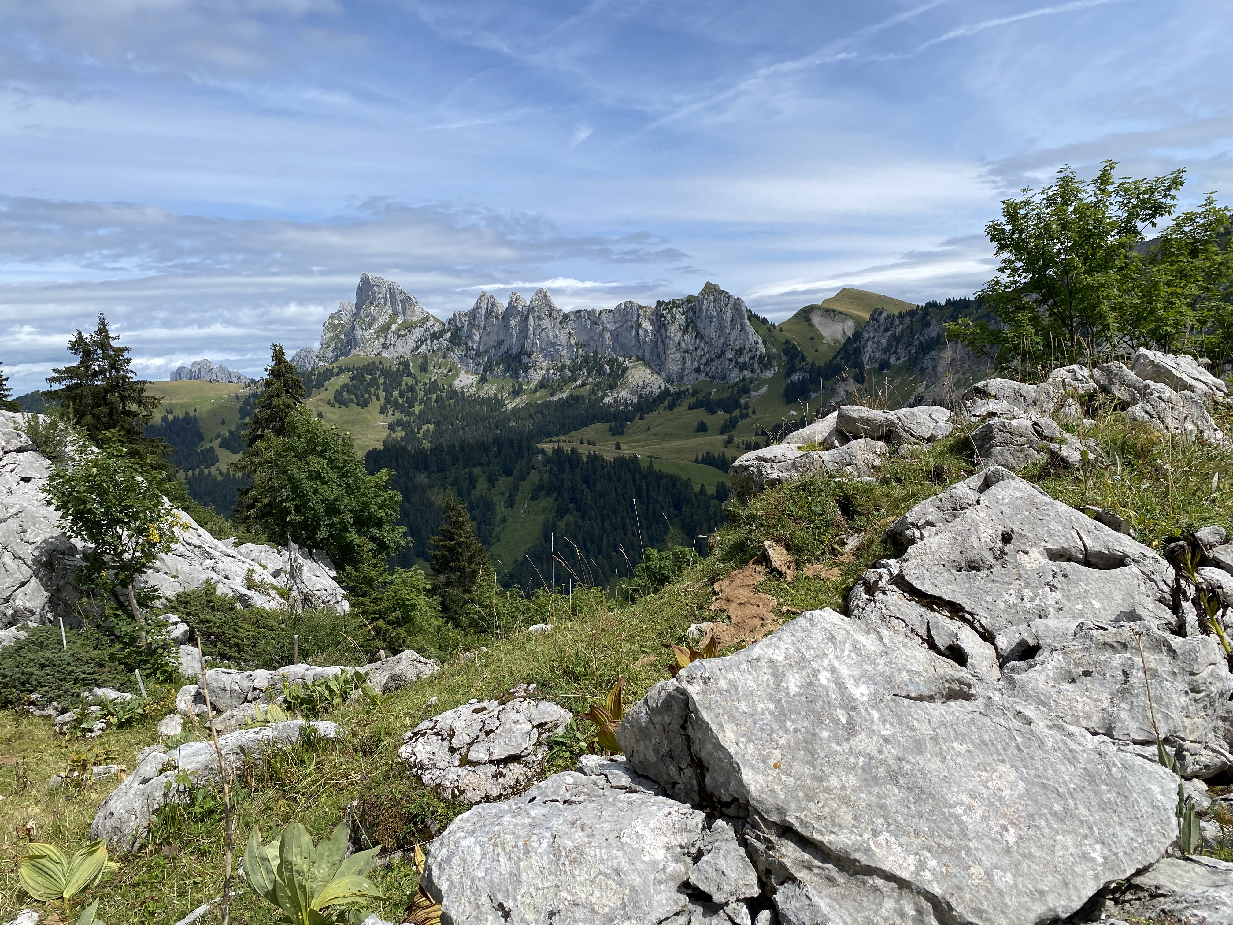 Dent de Savigny et Pucelles