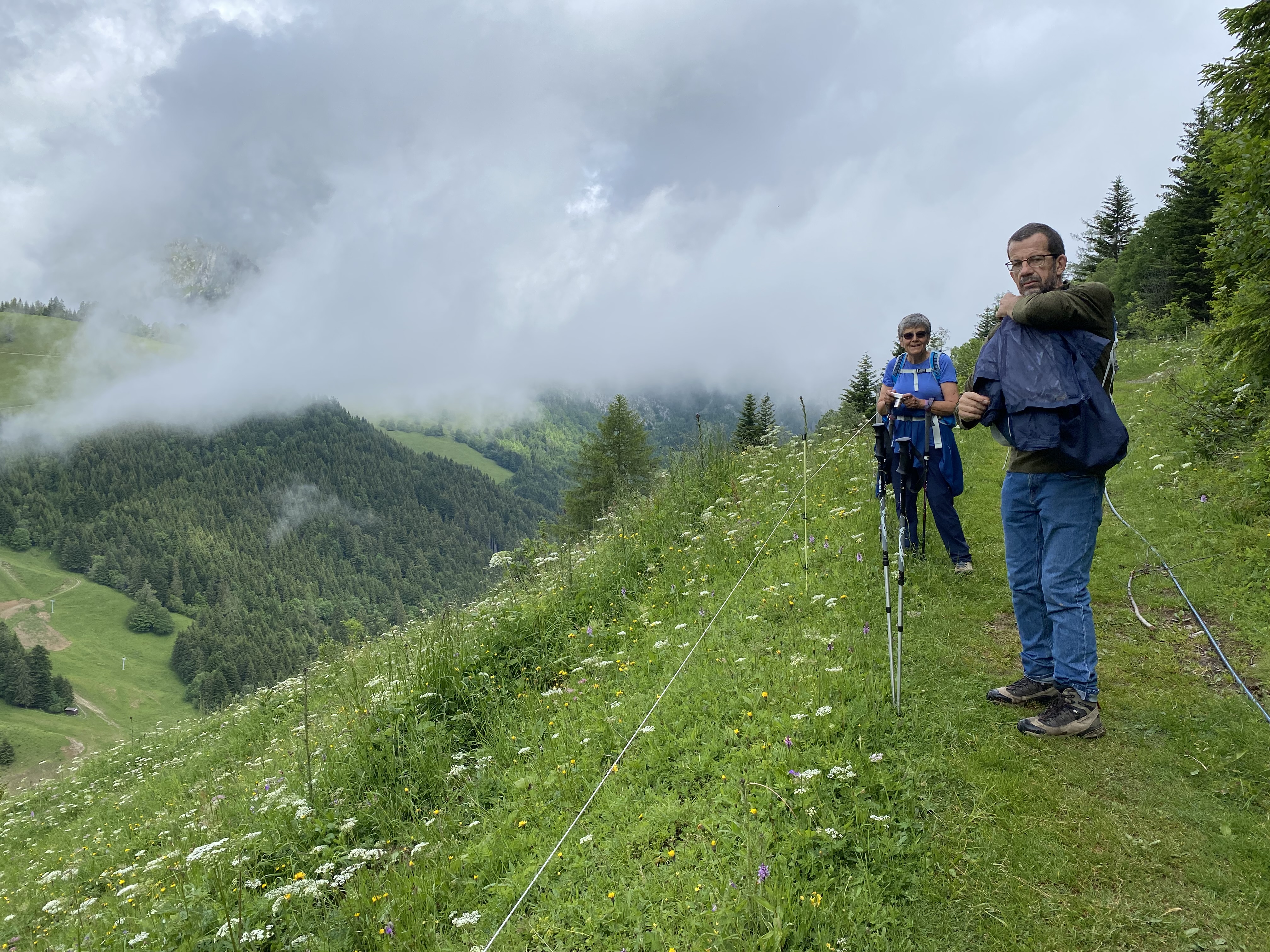 photo de Torgon, Sentier des alpages