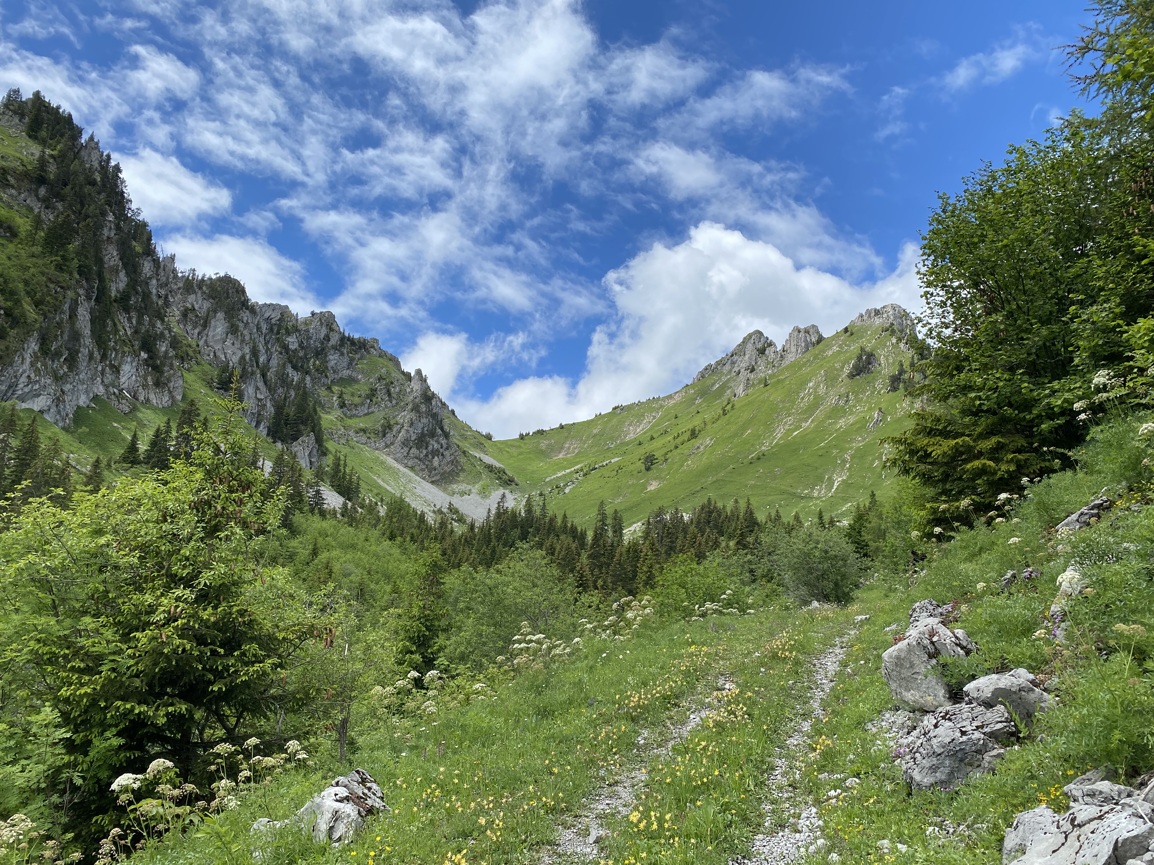 photo de Torgon, Sentier des alpages