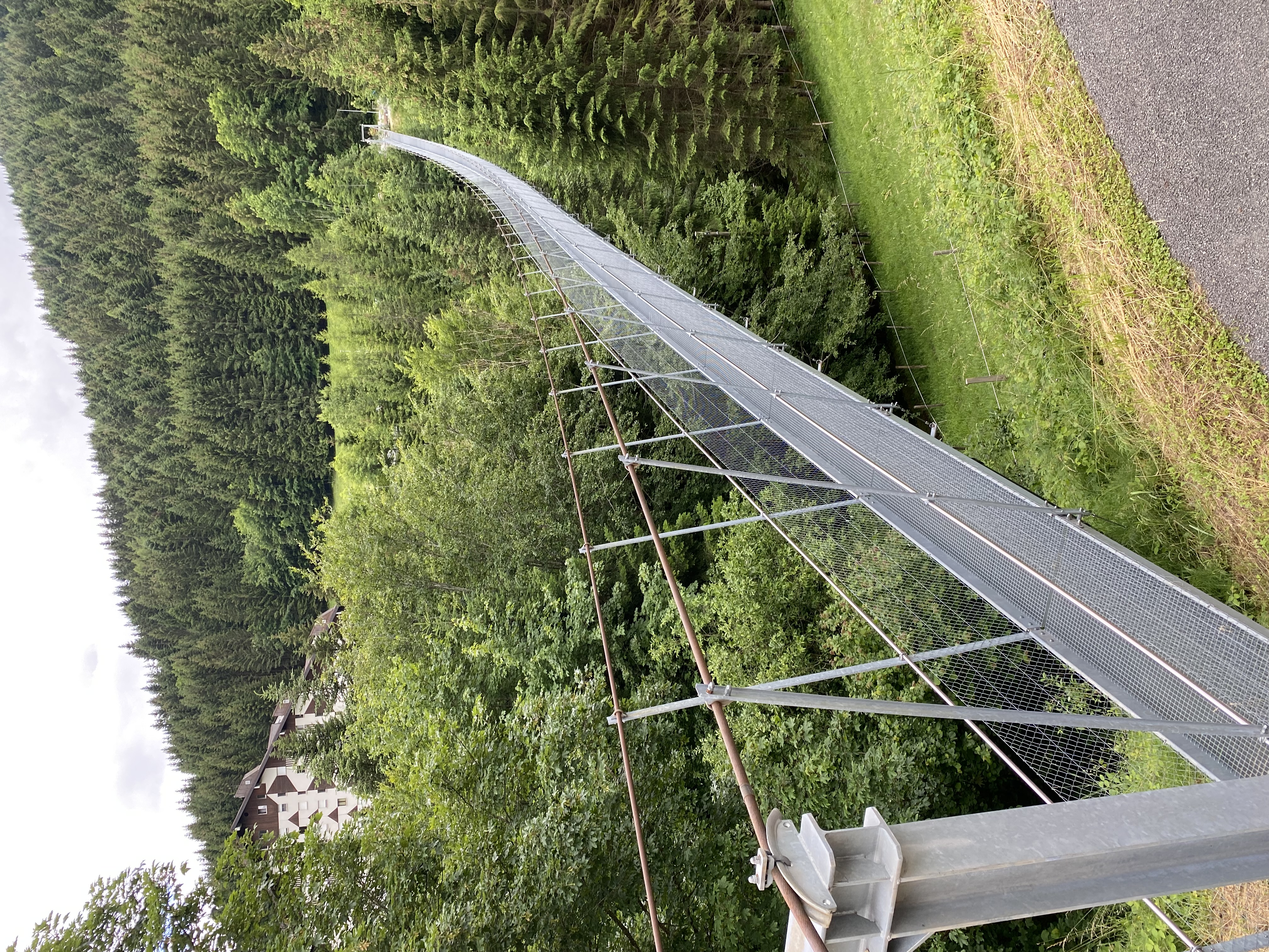 Pont suspendu de Torgon
