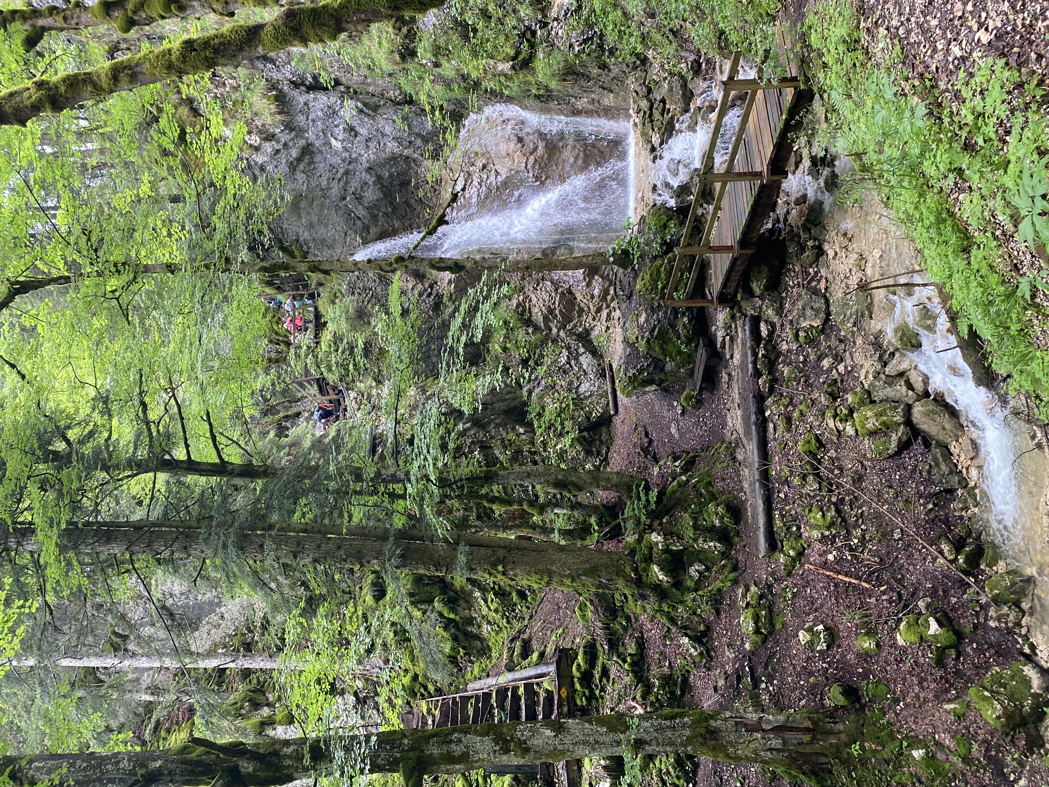 photo de Chasseron (Le)
