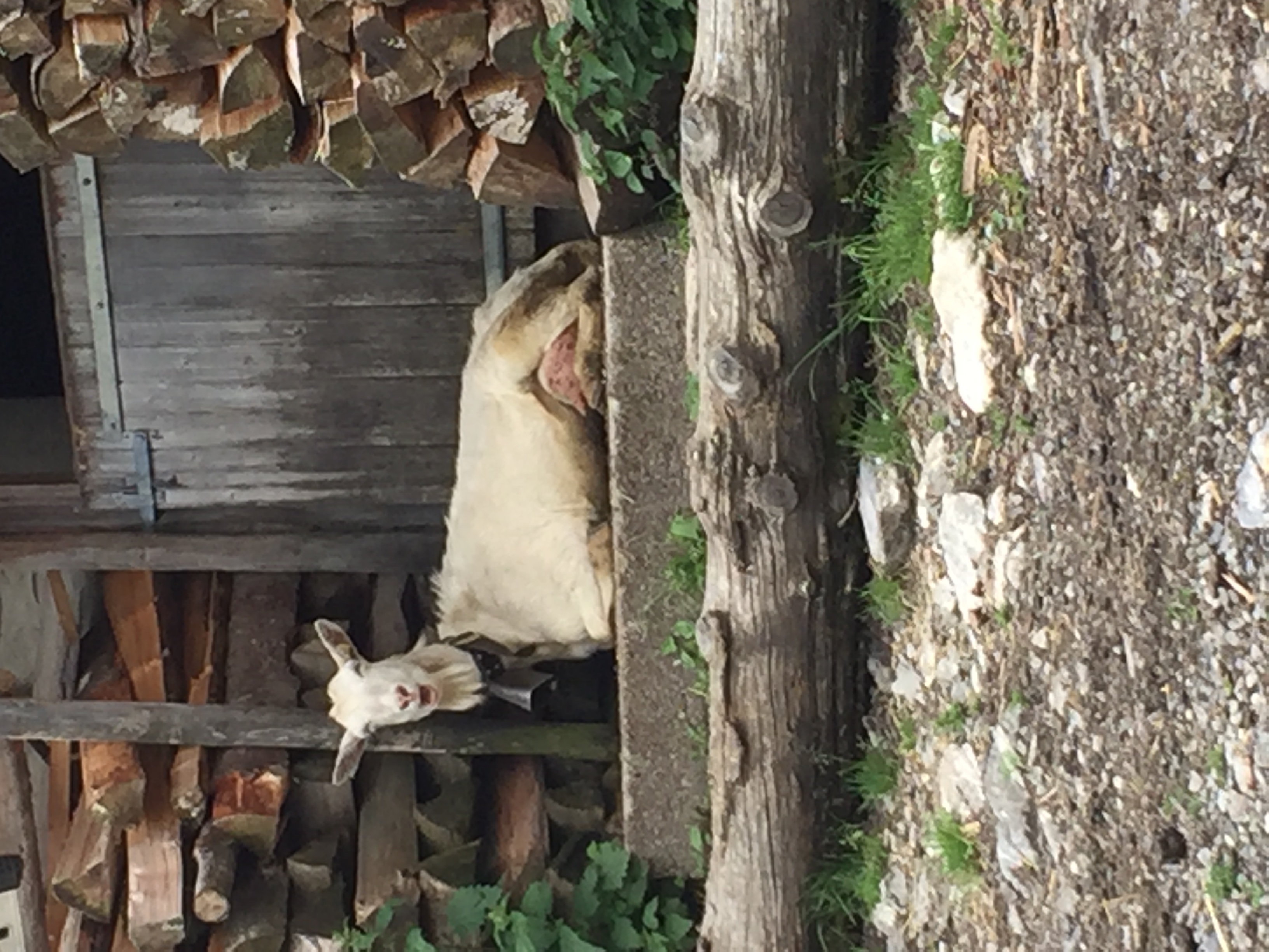 A Javerne, c\'est le repos