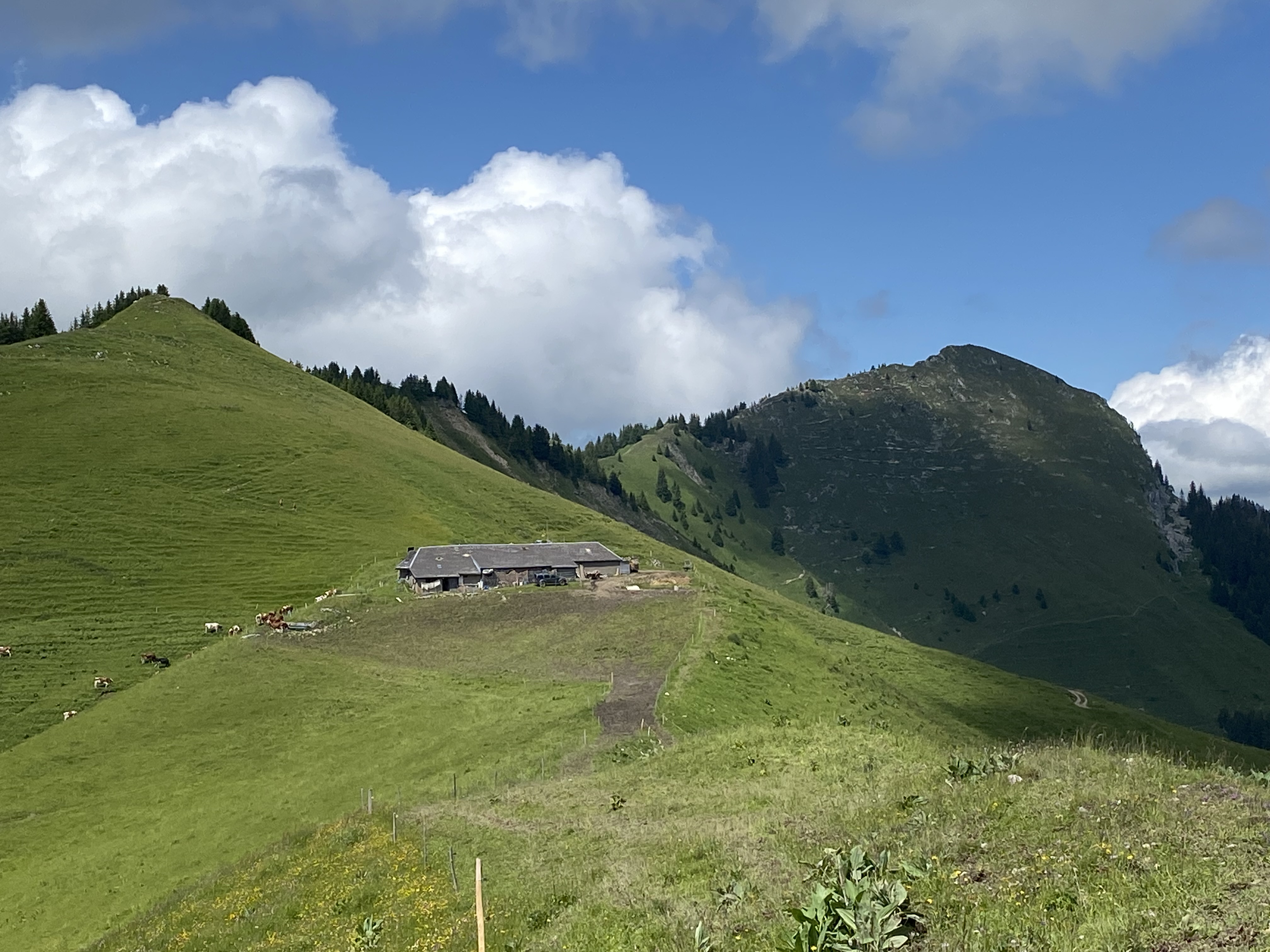 photo de Van (Le)