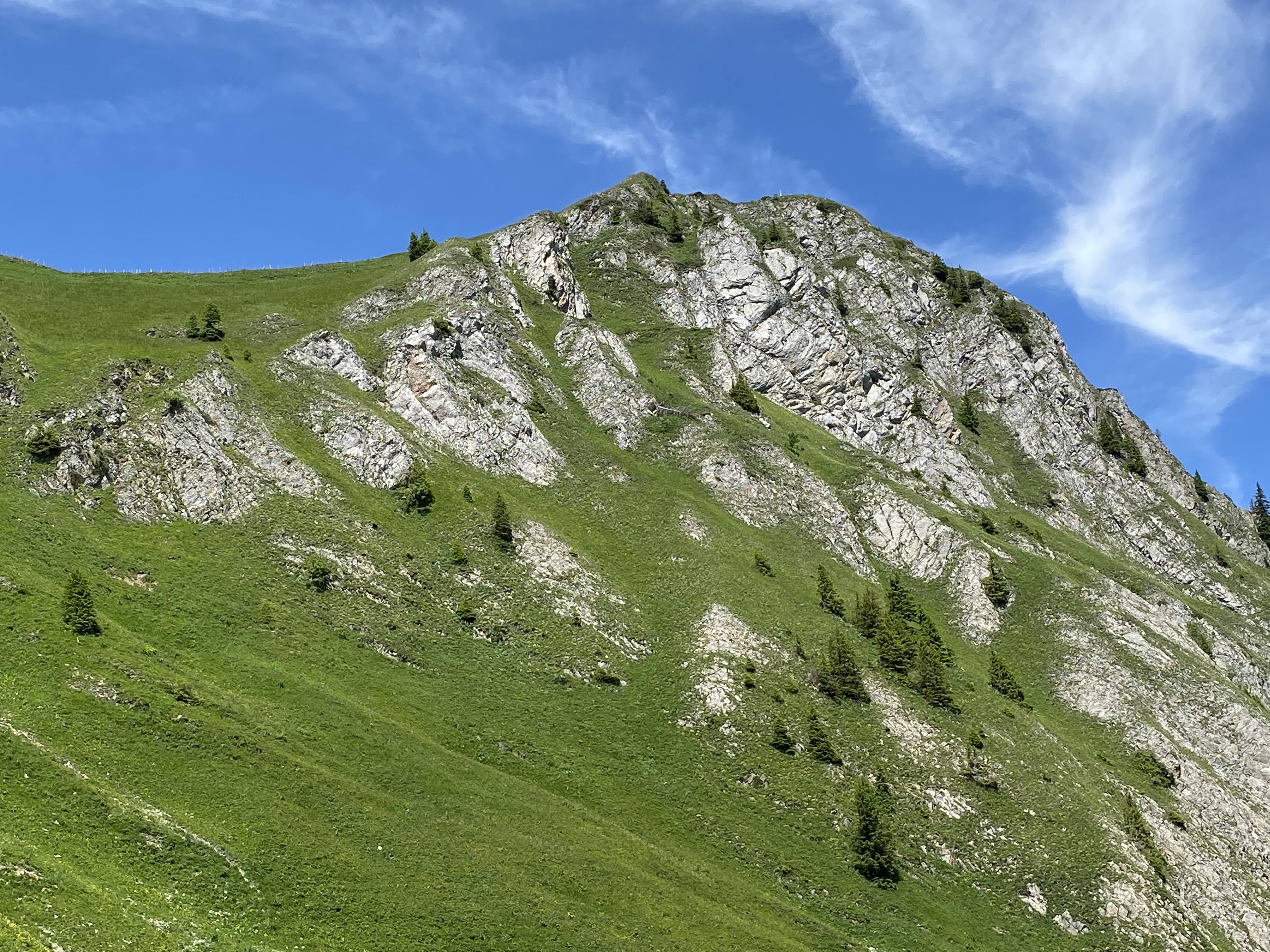 photo de Van (Le)