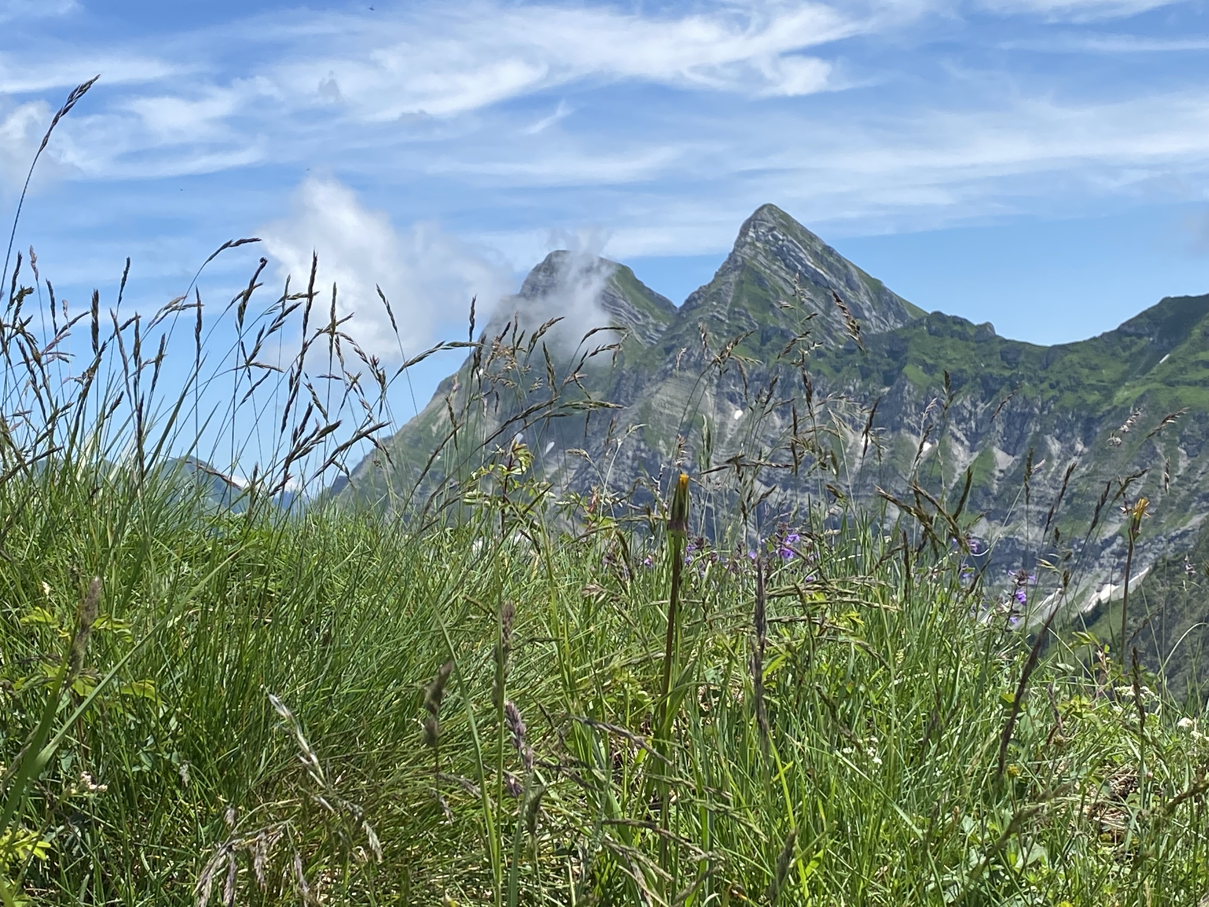 photo de Van (Le)