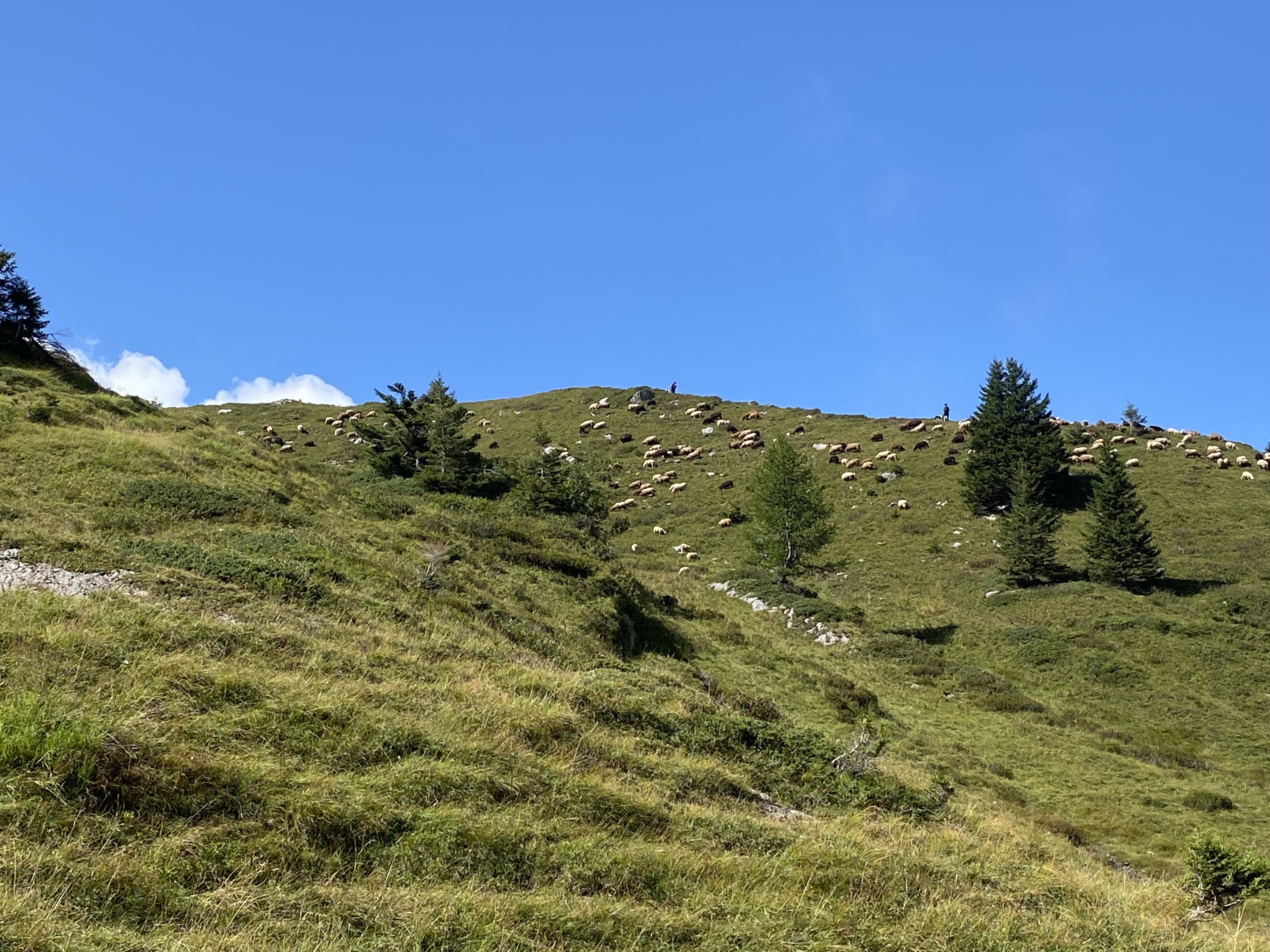 photo de Cabane de Plan-Névé