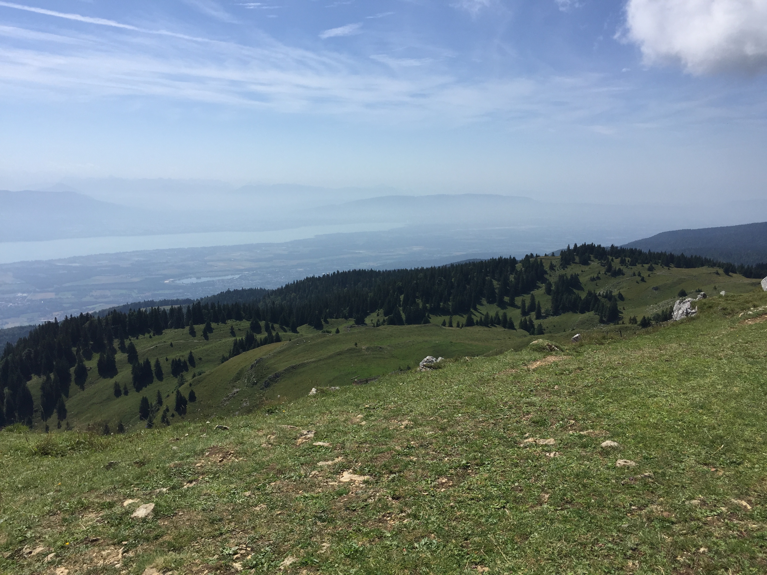 photo de Dôle (La)