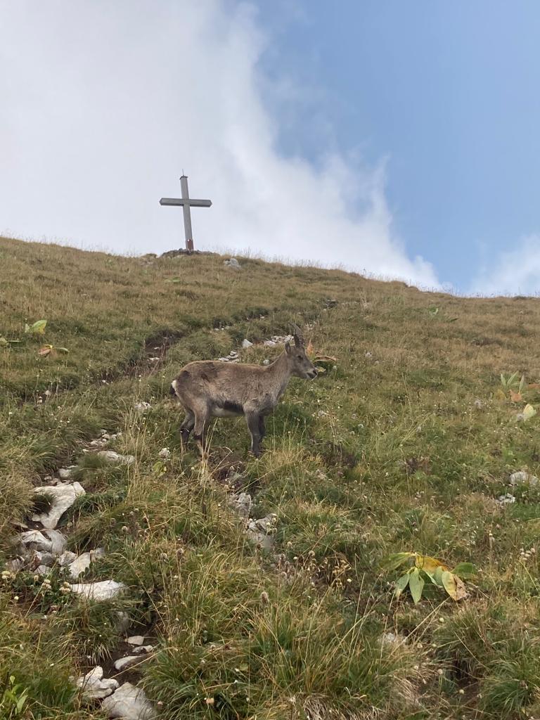 photo de Linleu (Le)