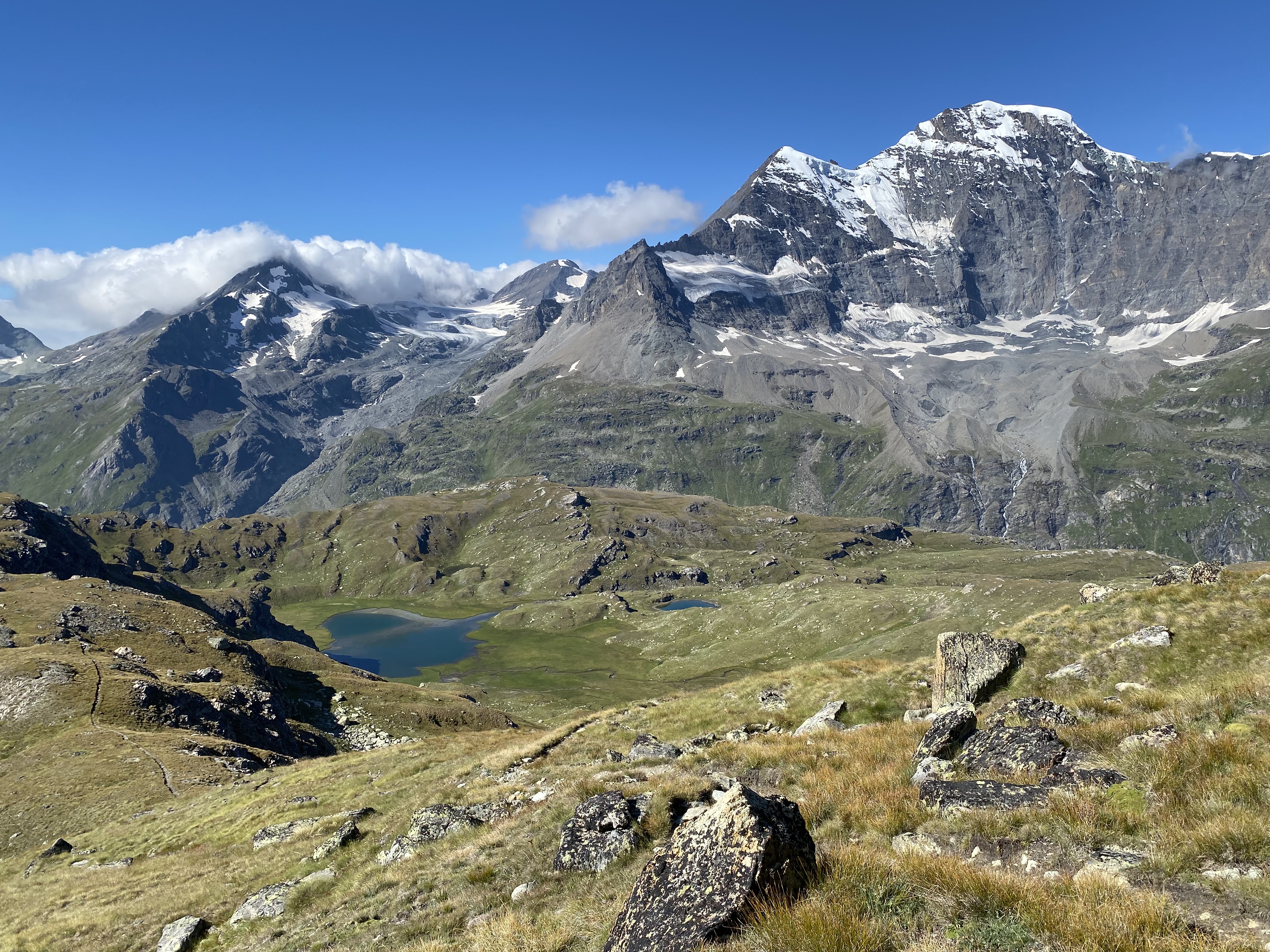 photo de Col de Lire Rose