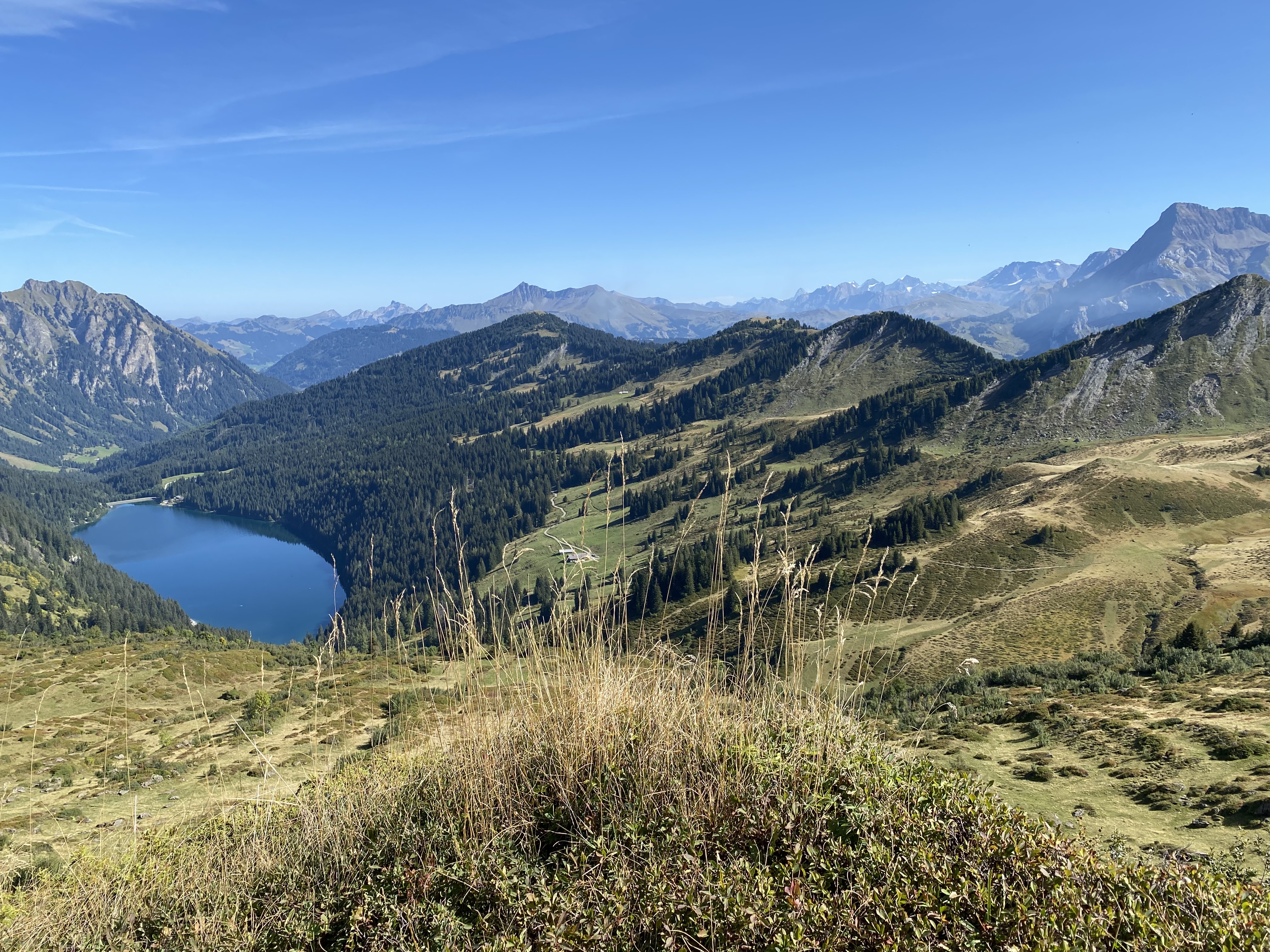 photo de Palette d'Isenau (La)