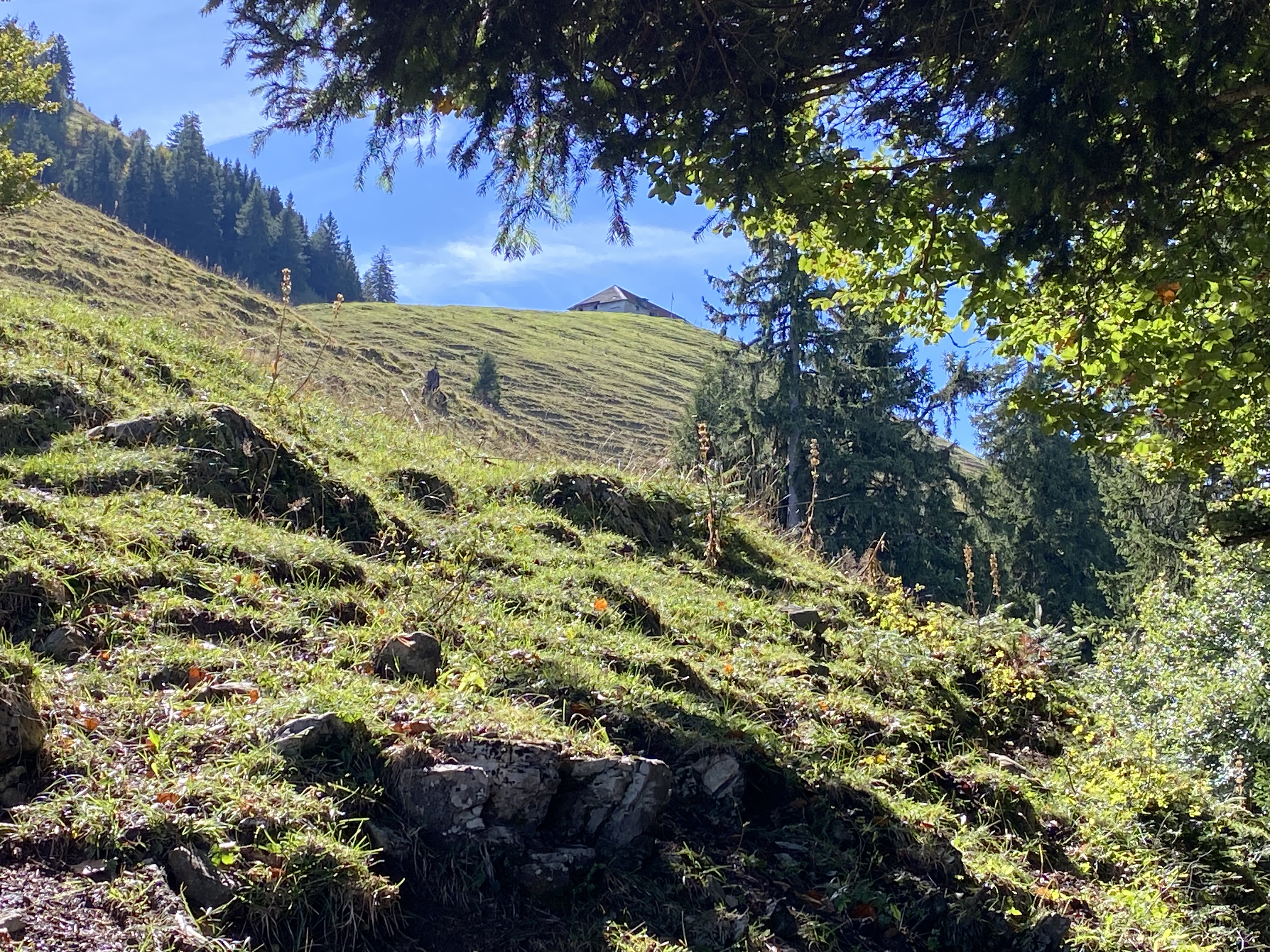 photo de Brâ (La)