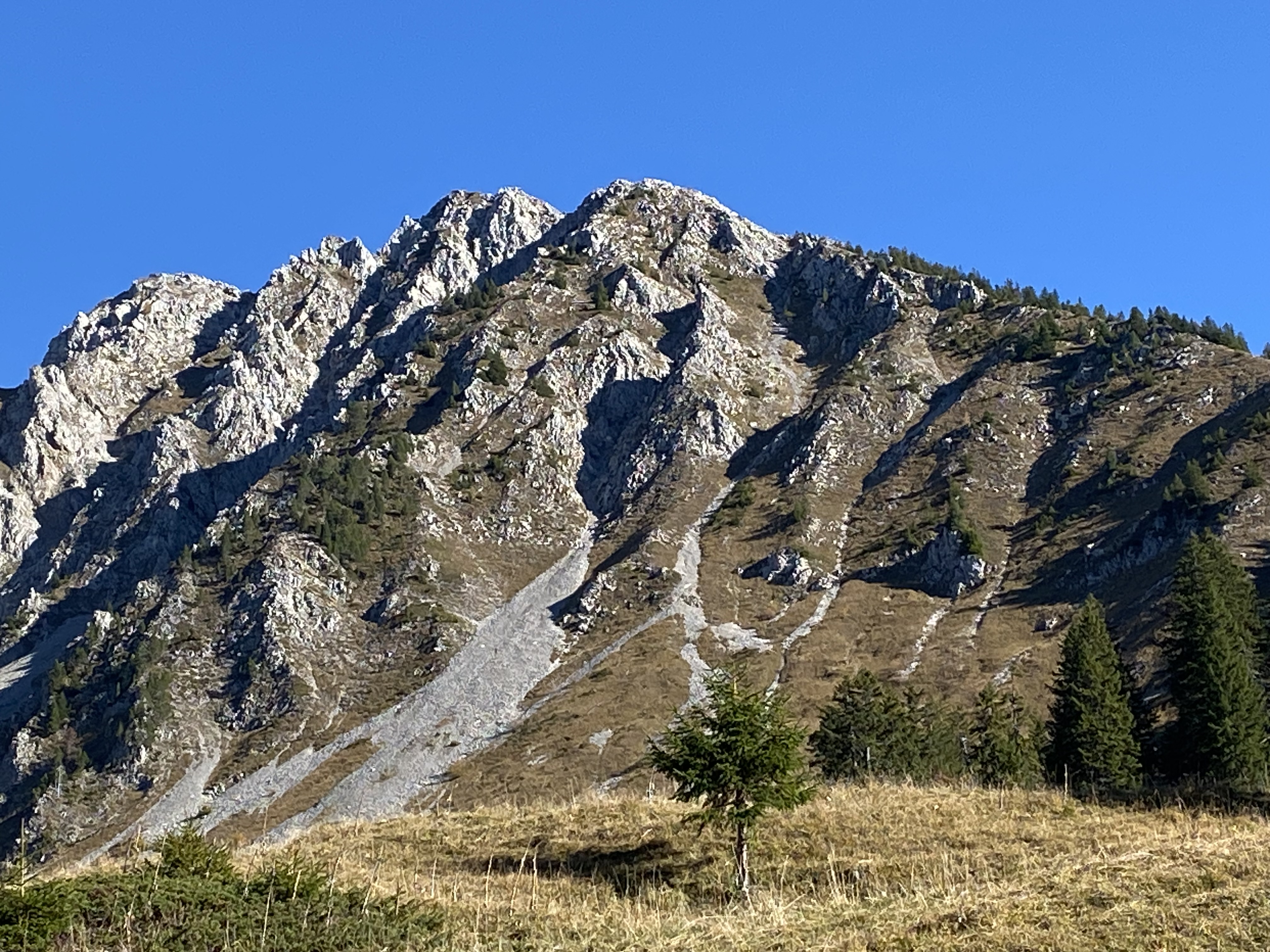 L\'objectif du jour, 2ème depuis la droite