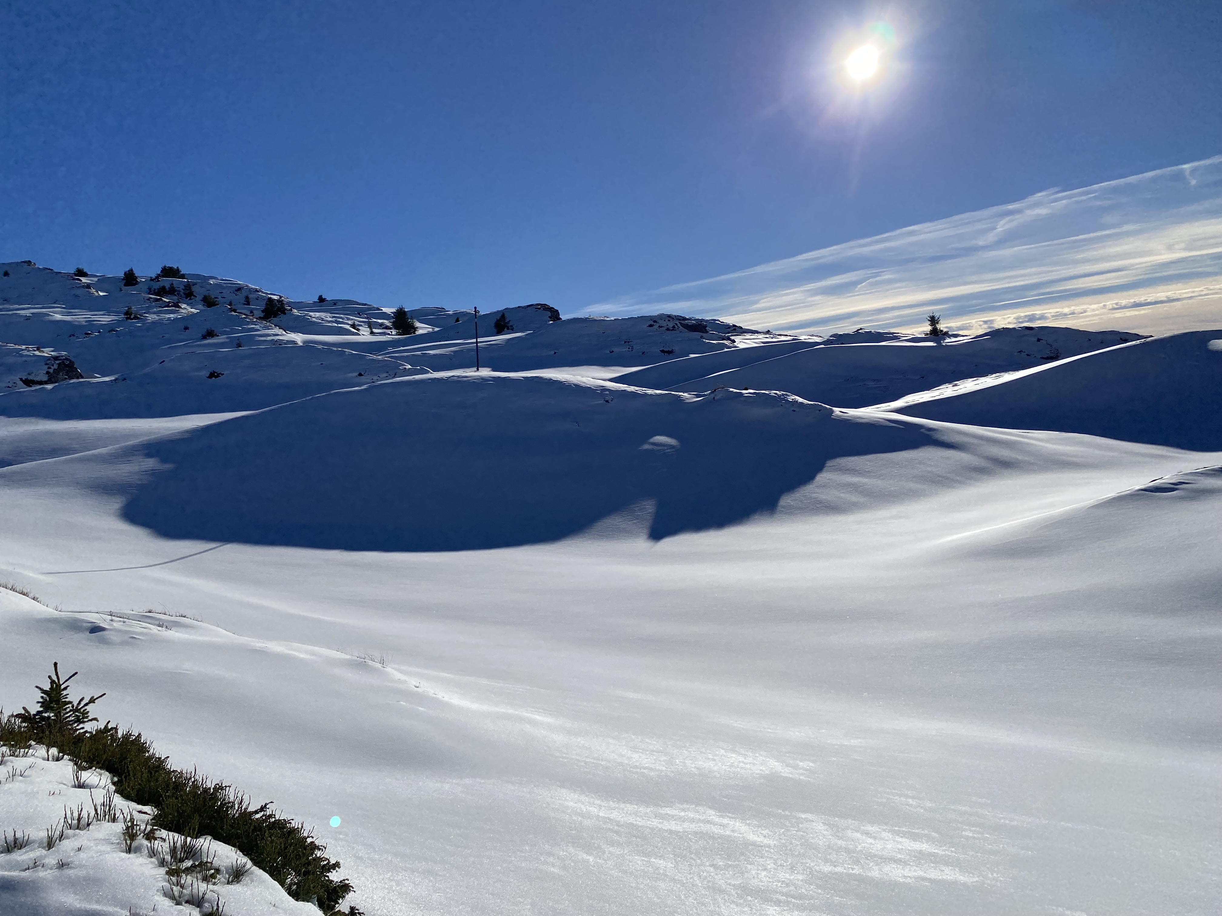 photo de Tour de la Palette
