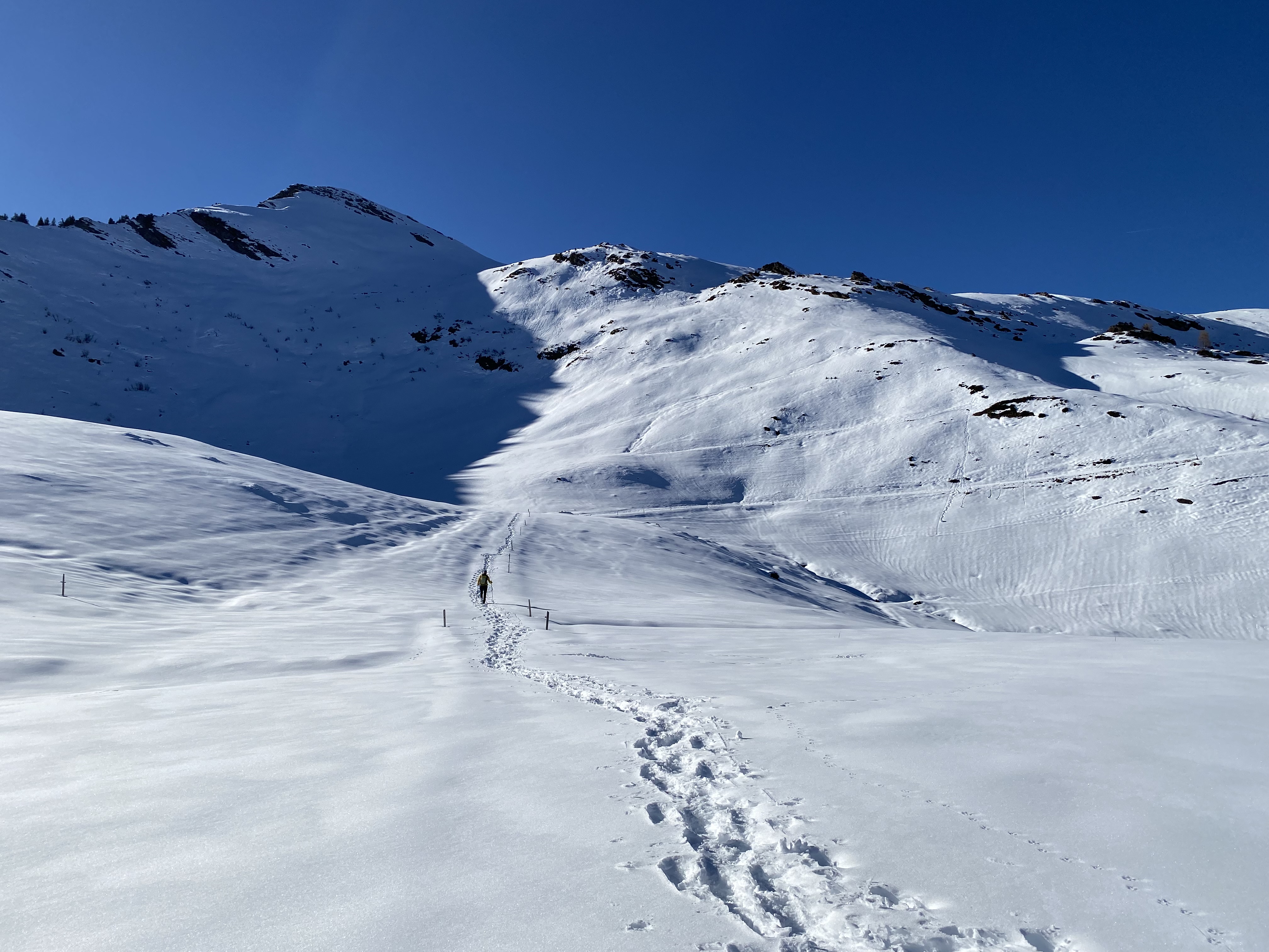 photo de Tour de la Palette