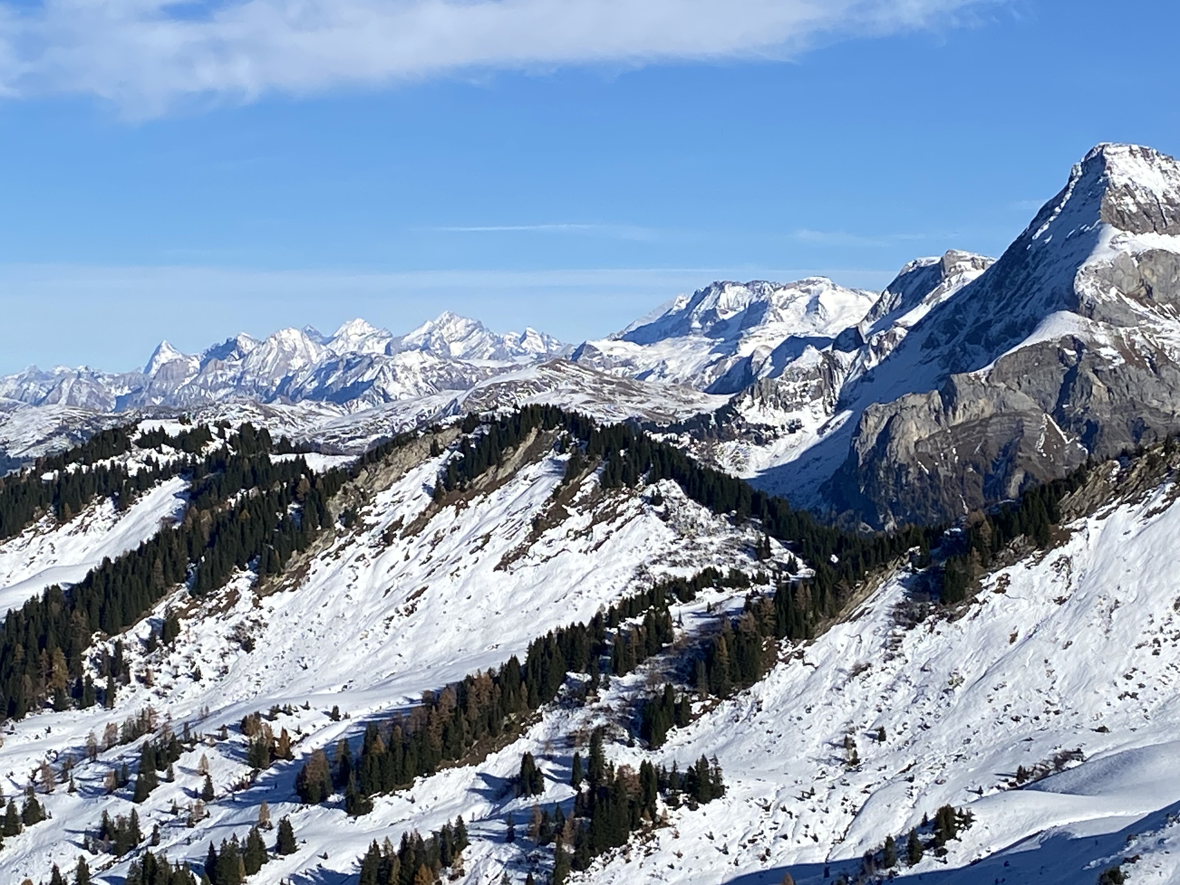 photo de Tour de la Palette