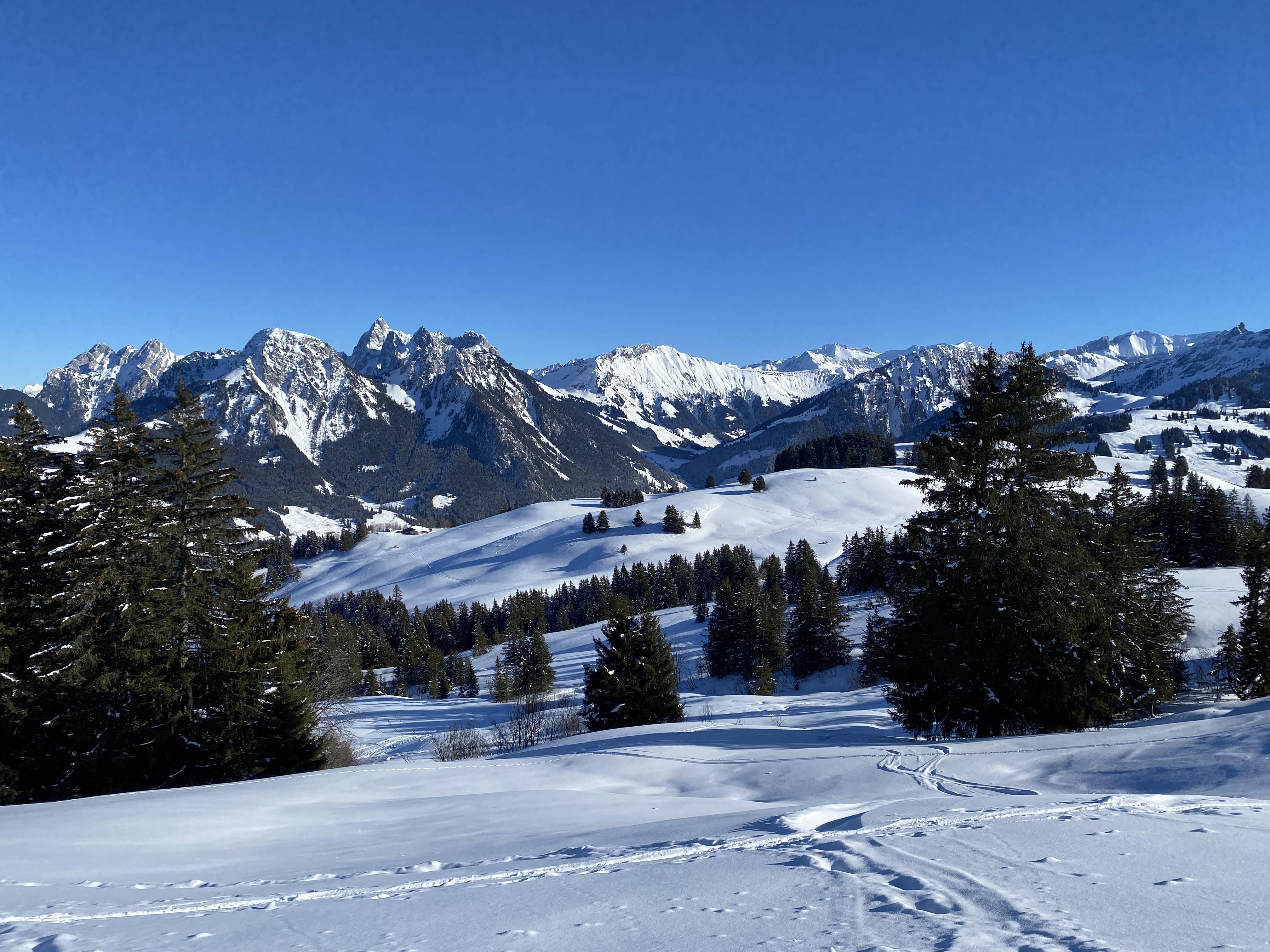 photo de Monts Chevreuils (Les)