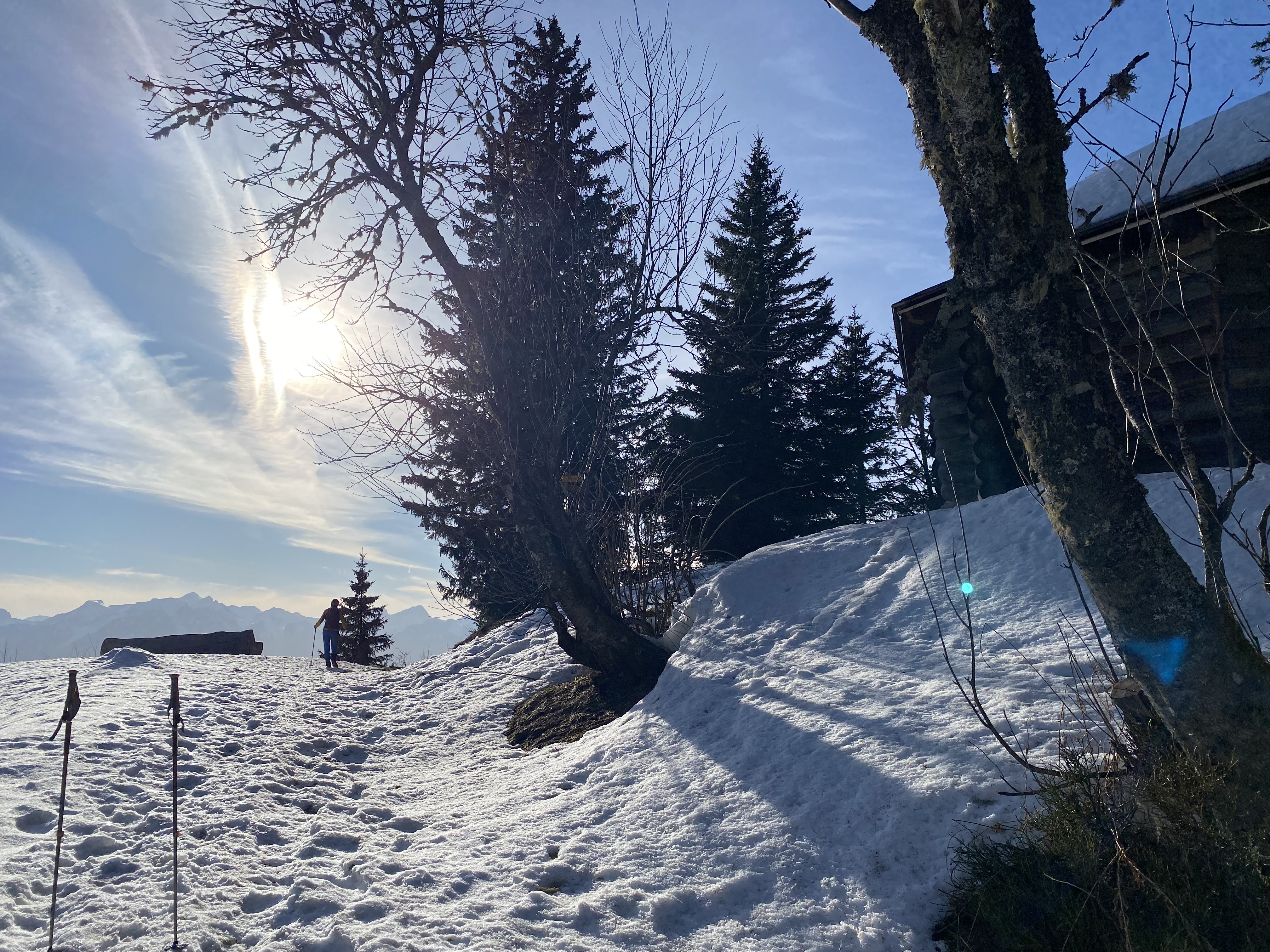 Cabane des bûcherons