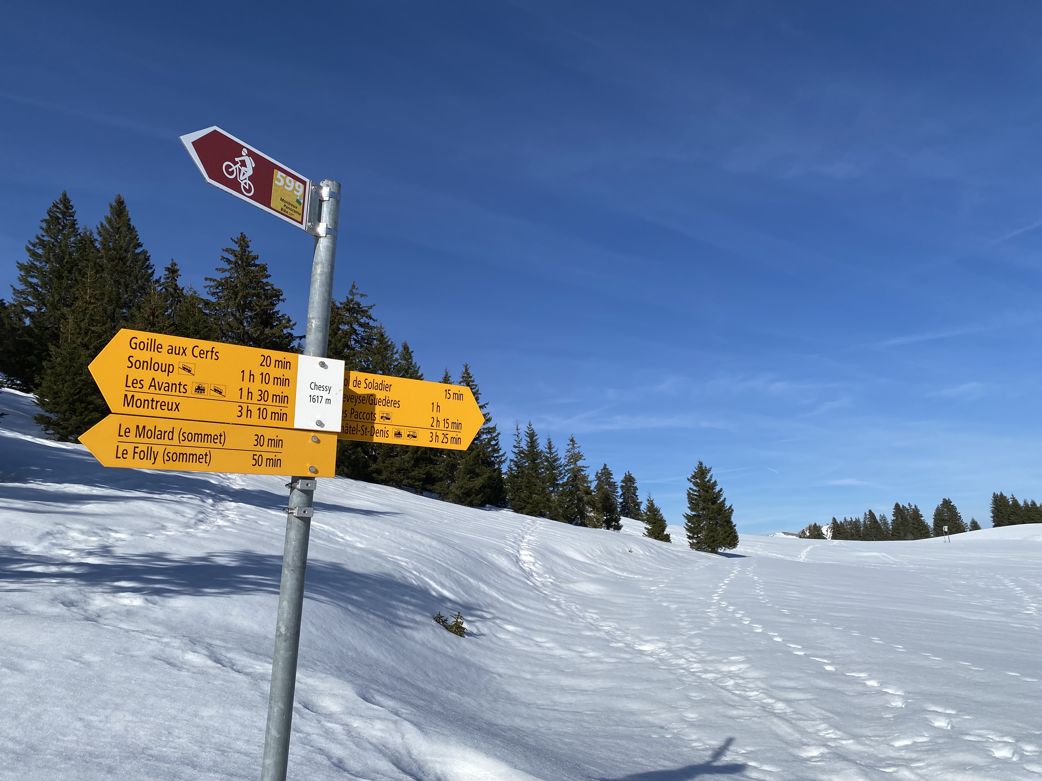 photo de Molard (Le)