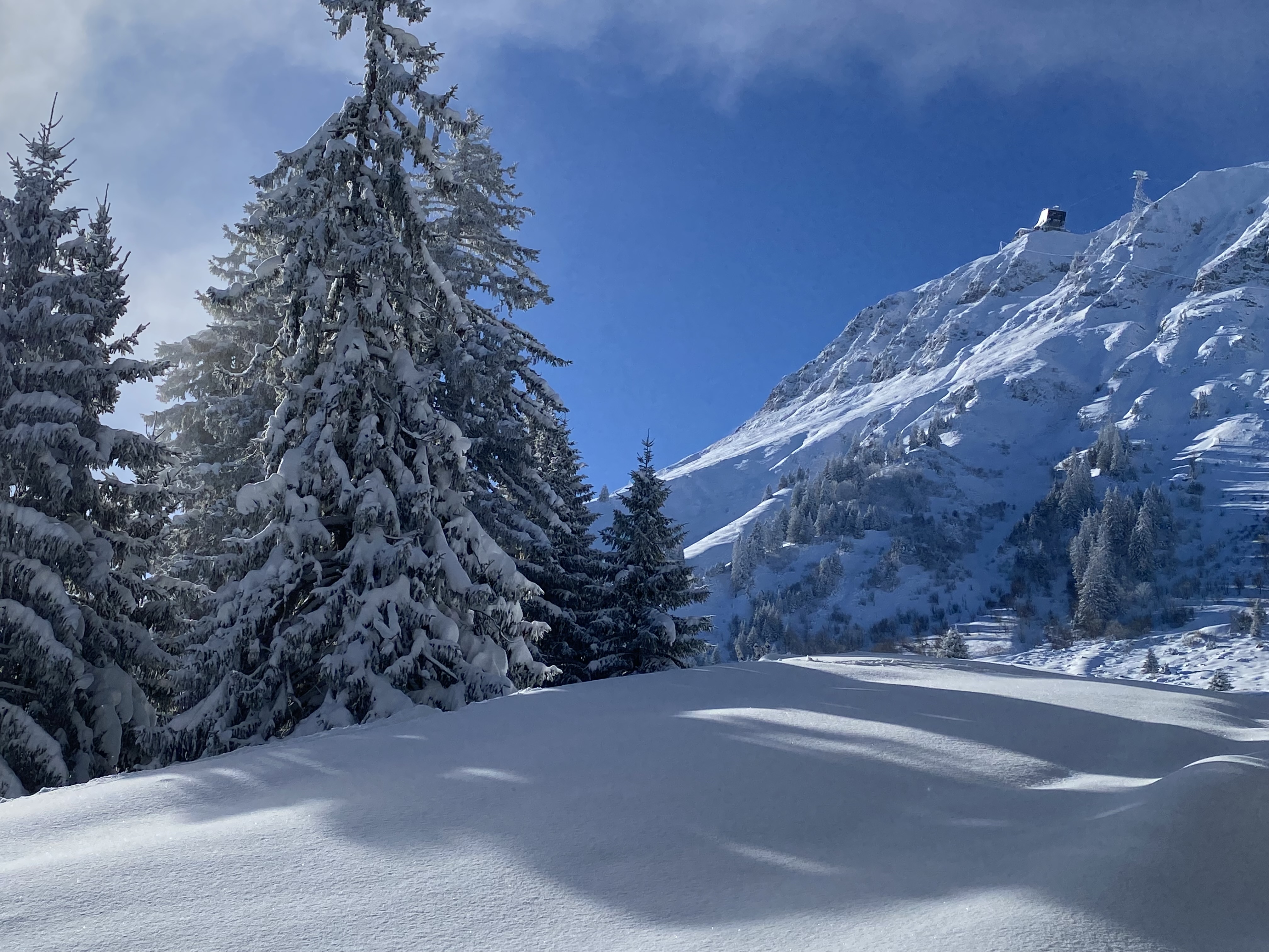 photo de Plan-Francey