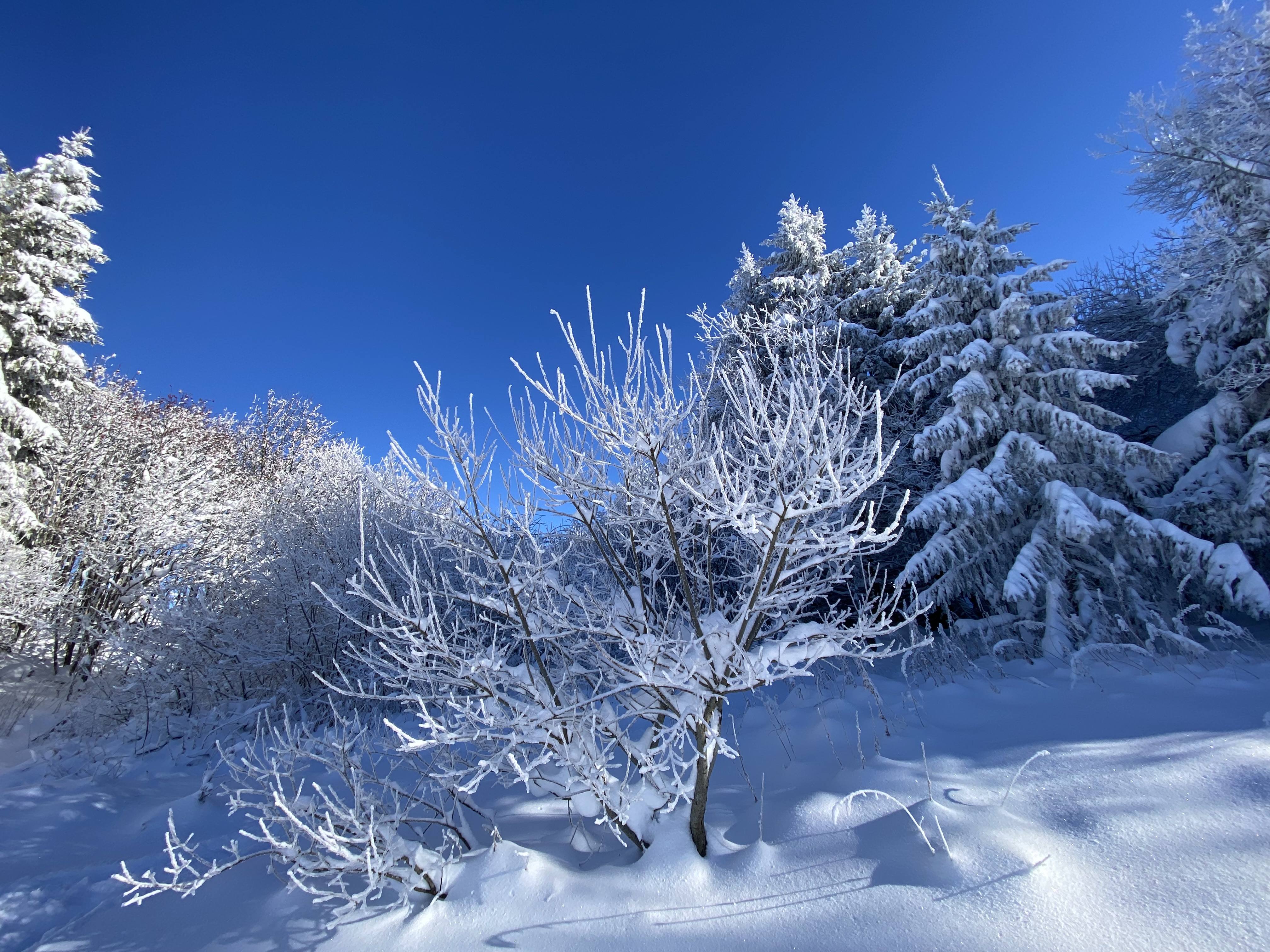 photo de Plan-Francey