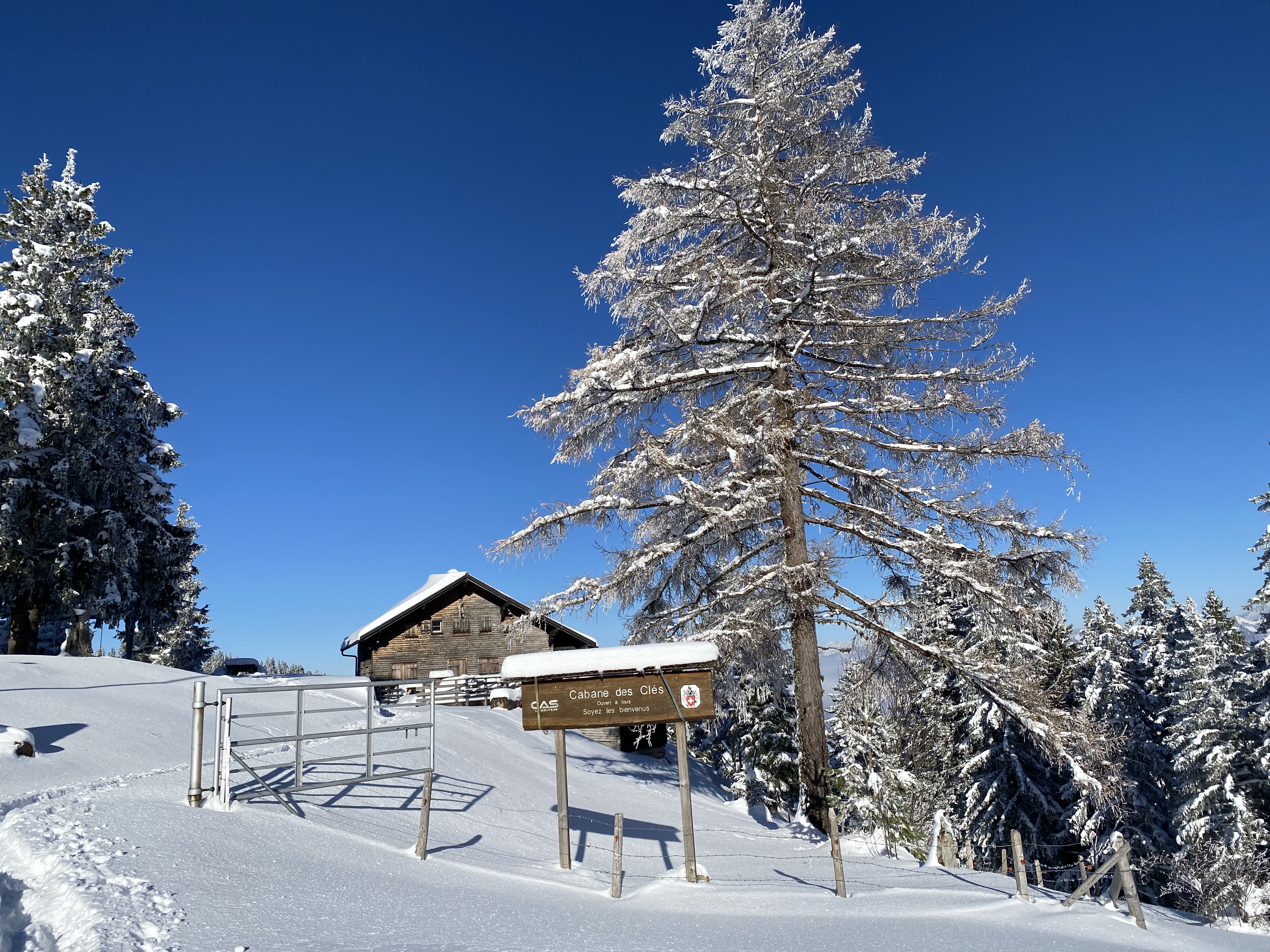 photo de Plan-Francey