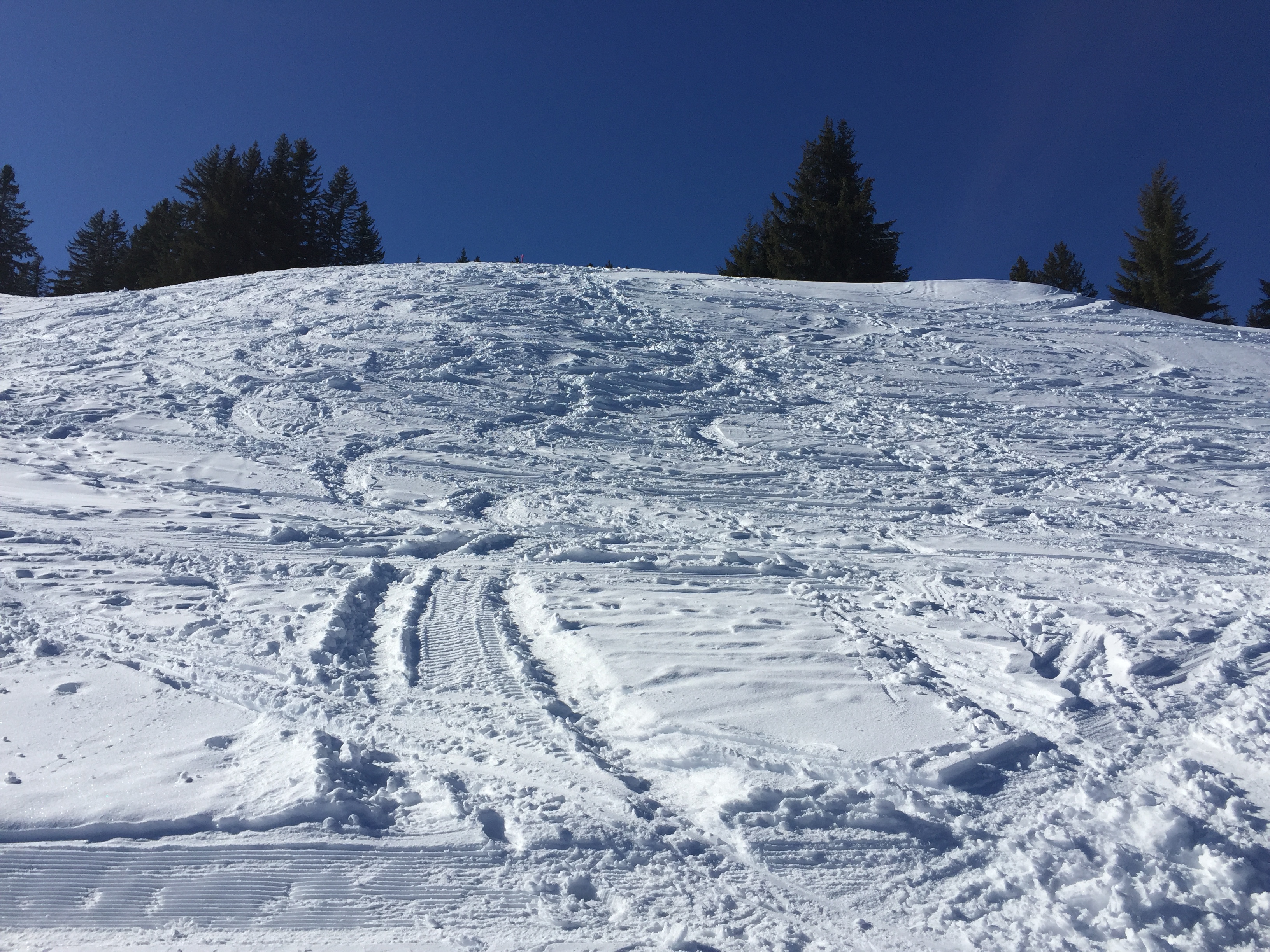 Descente sur la cabane