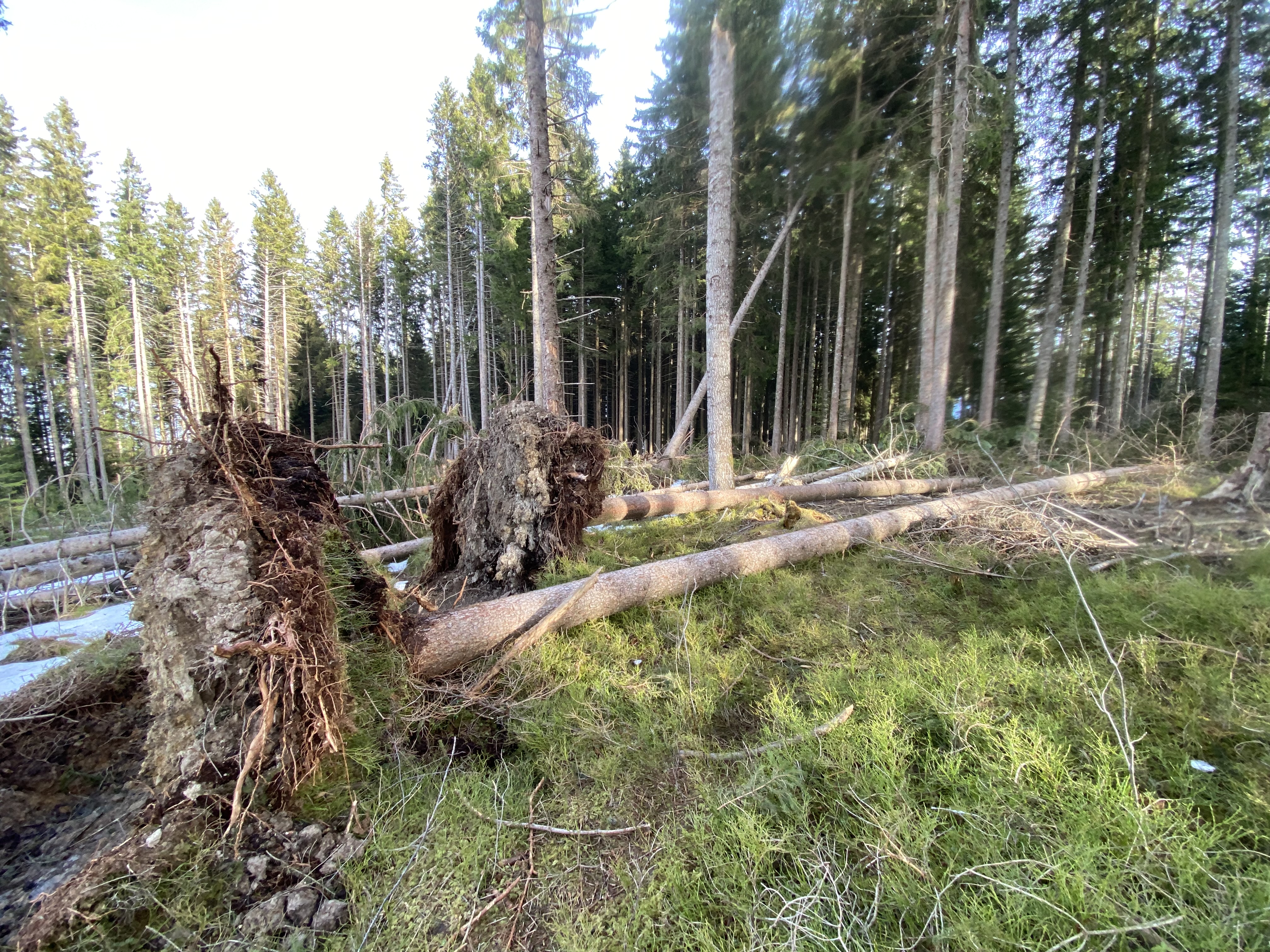 photo de Grand tour de la Chia