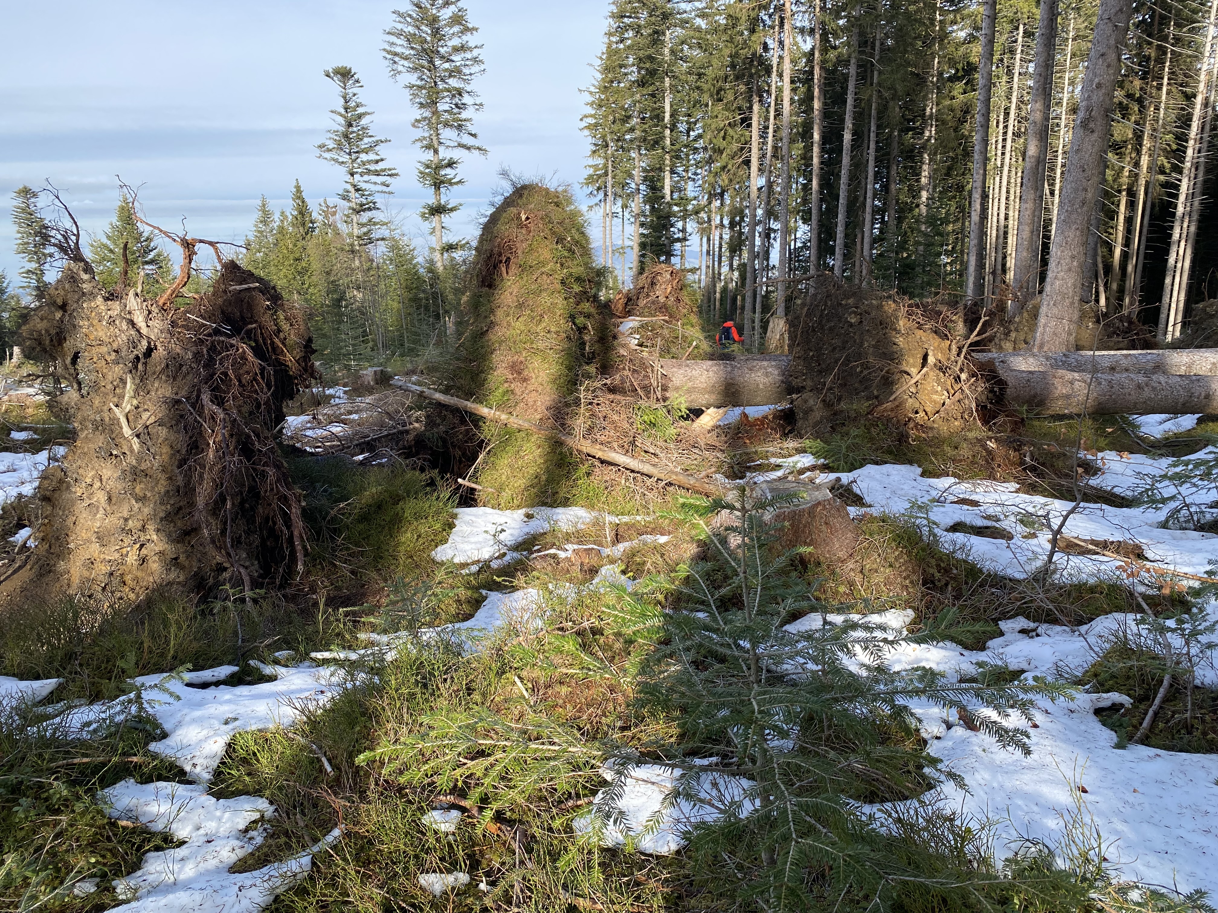 photo de Grand tour de la Chia