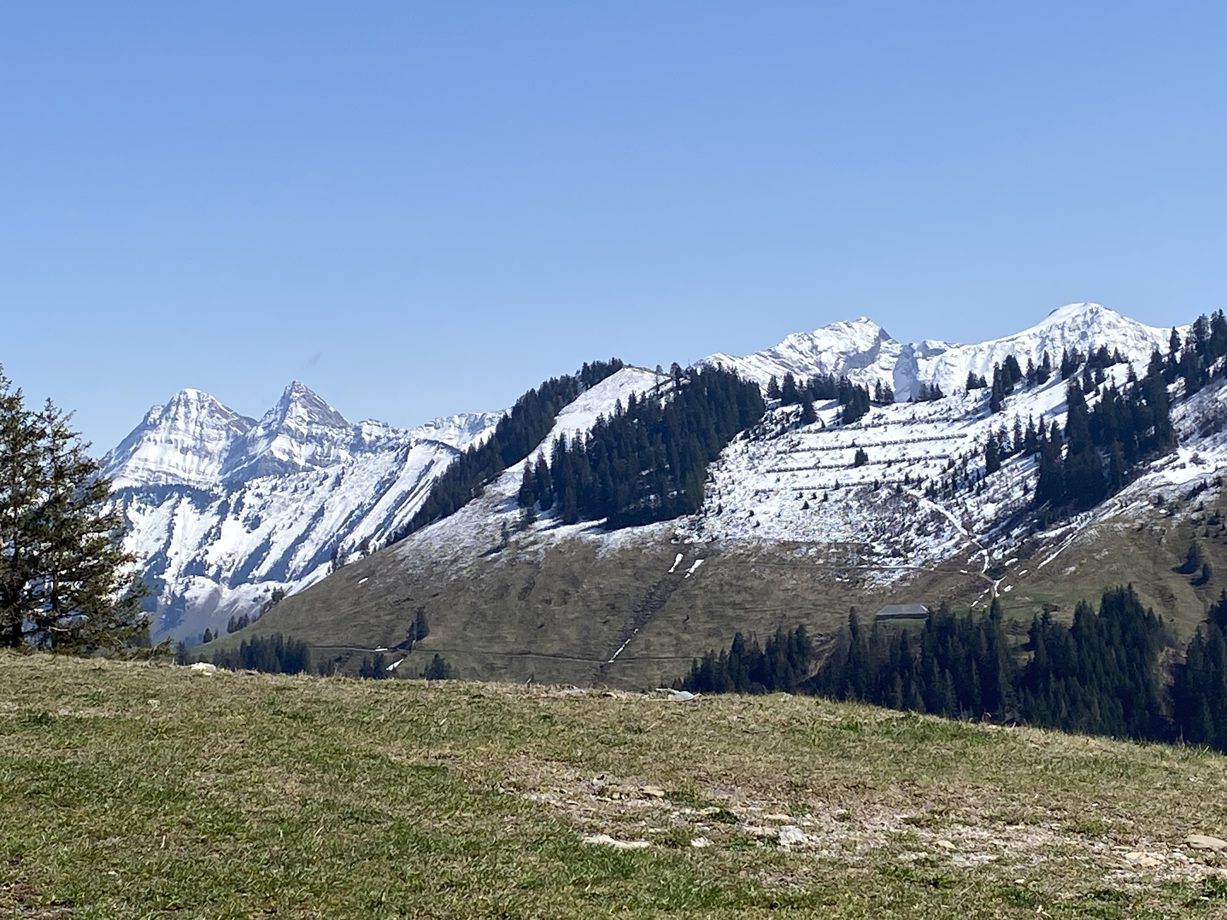 photo de Plan-Francey