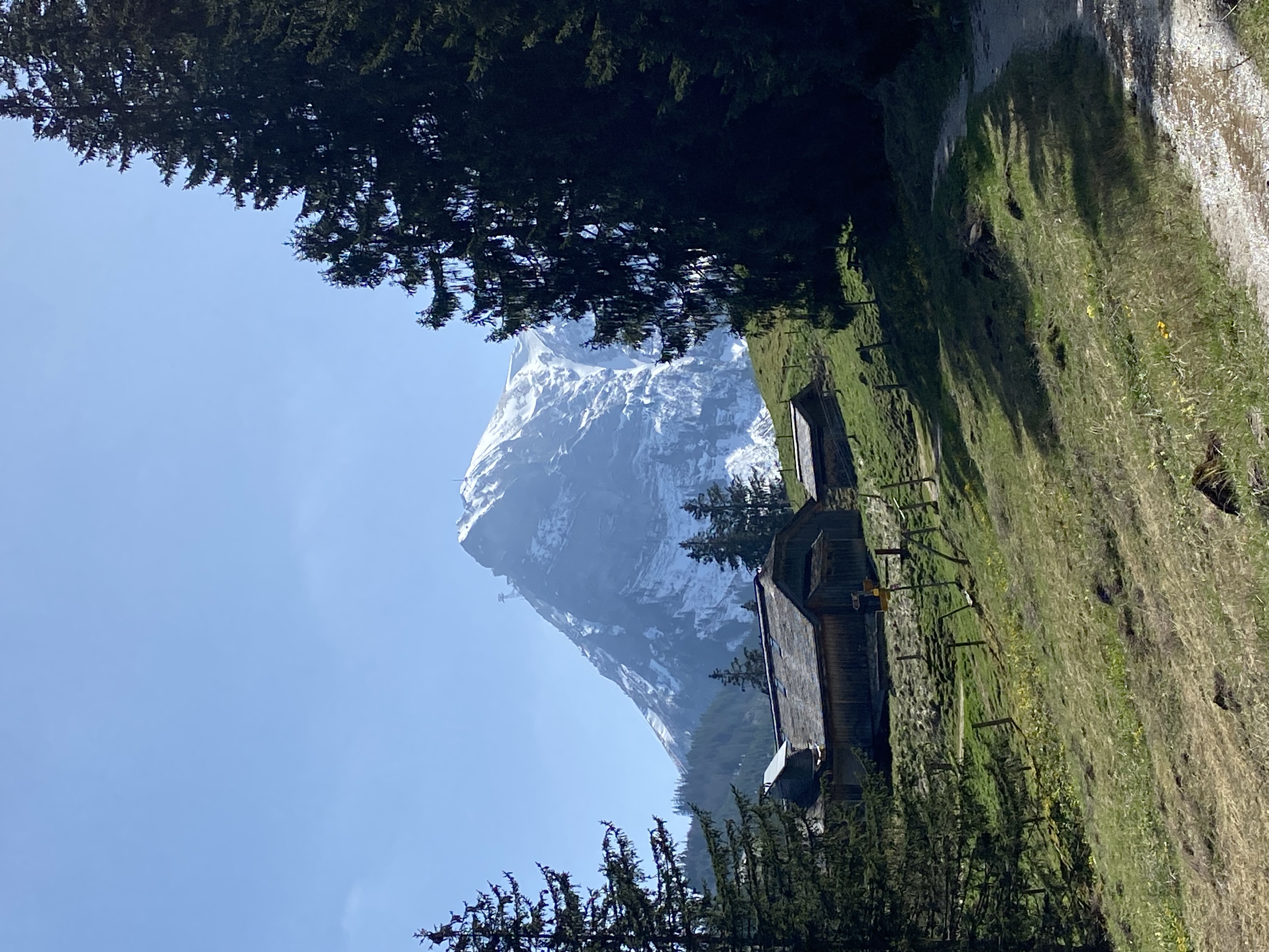 Vue sur le Moléson