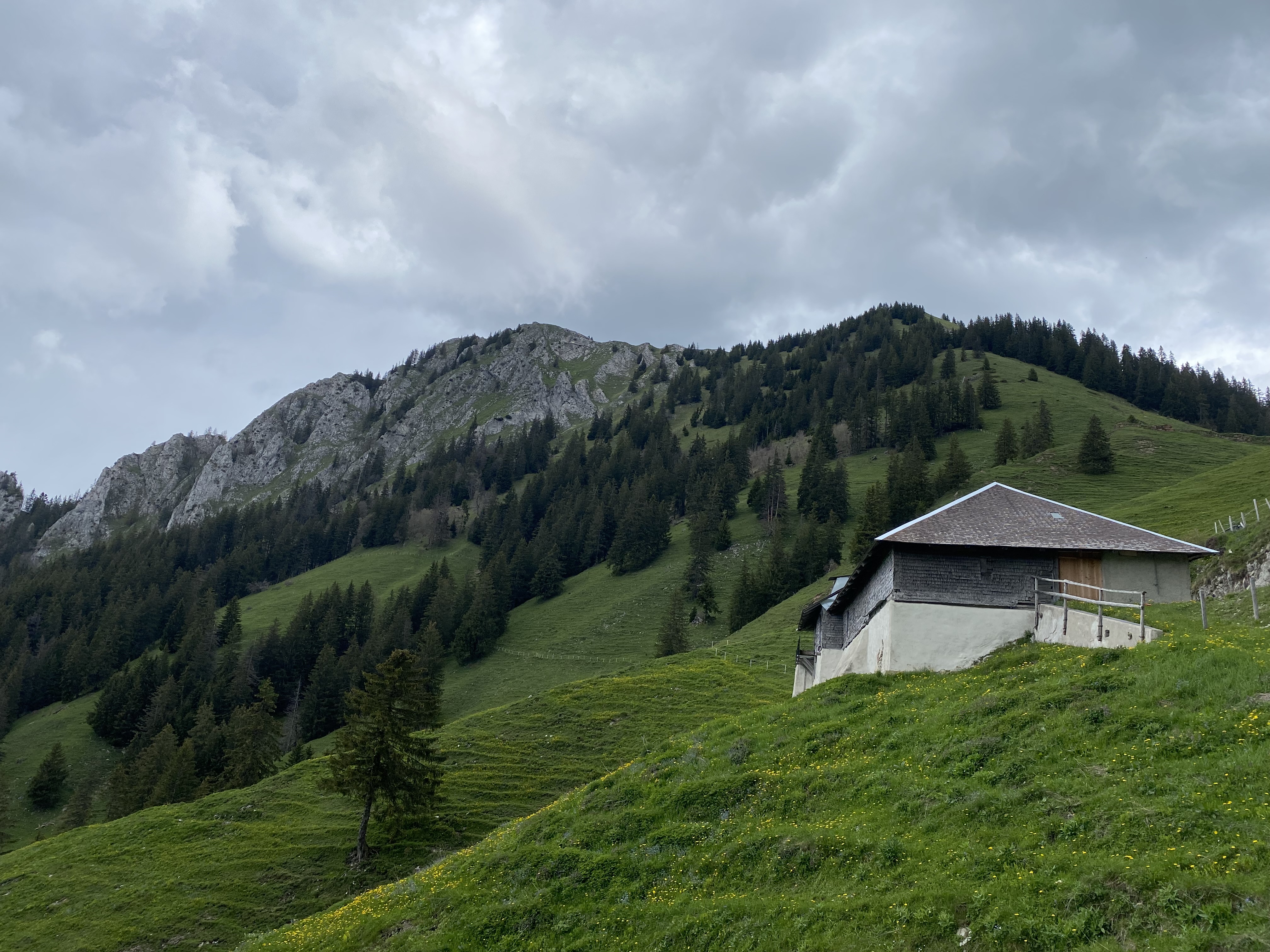 photo de Col de la Forcla