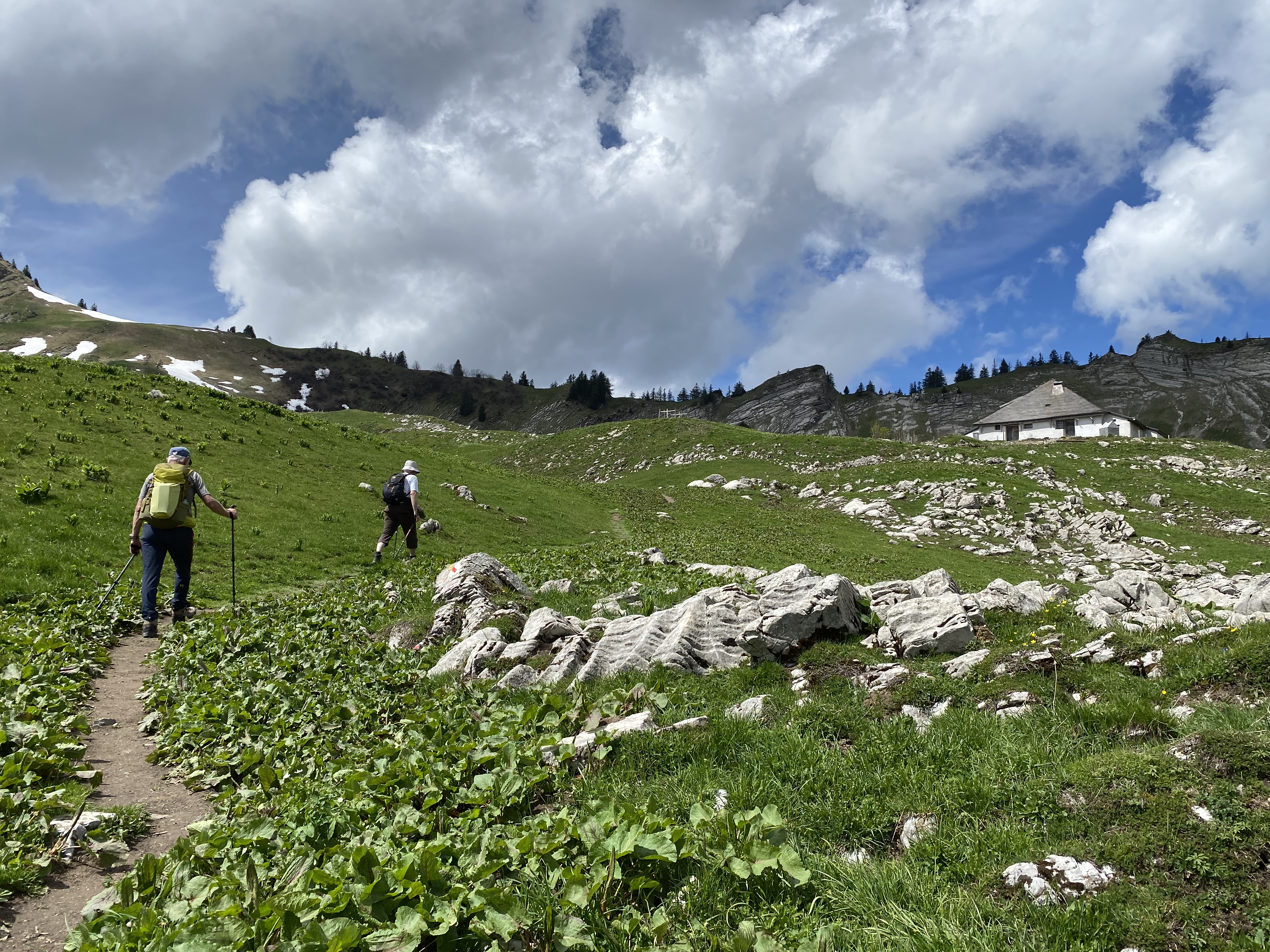 photo de Col de Lys
