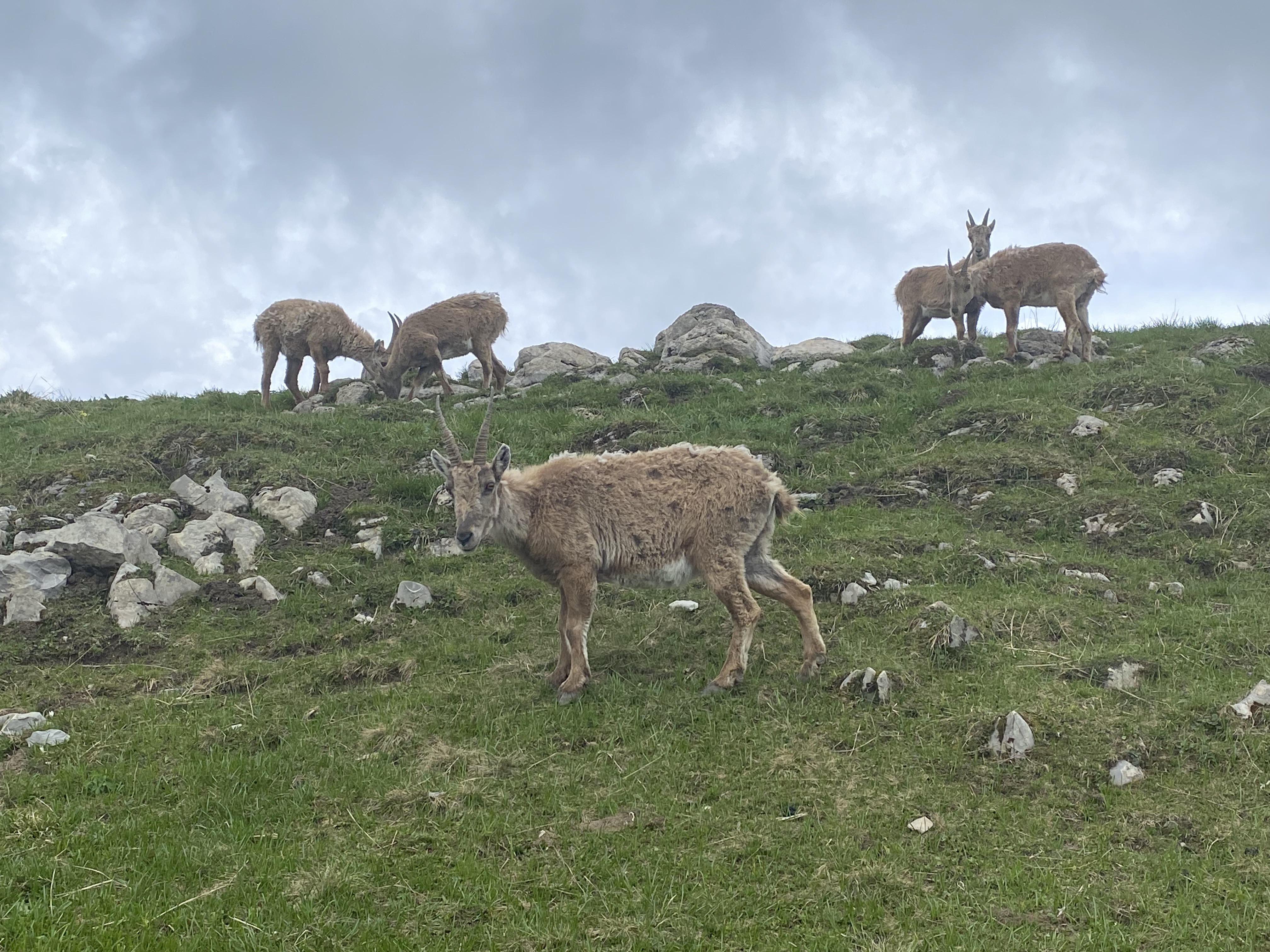 photo de Col de Lys