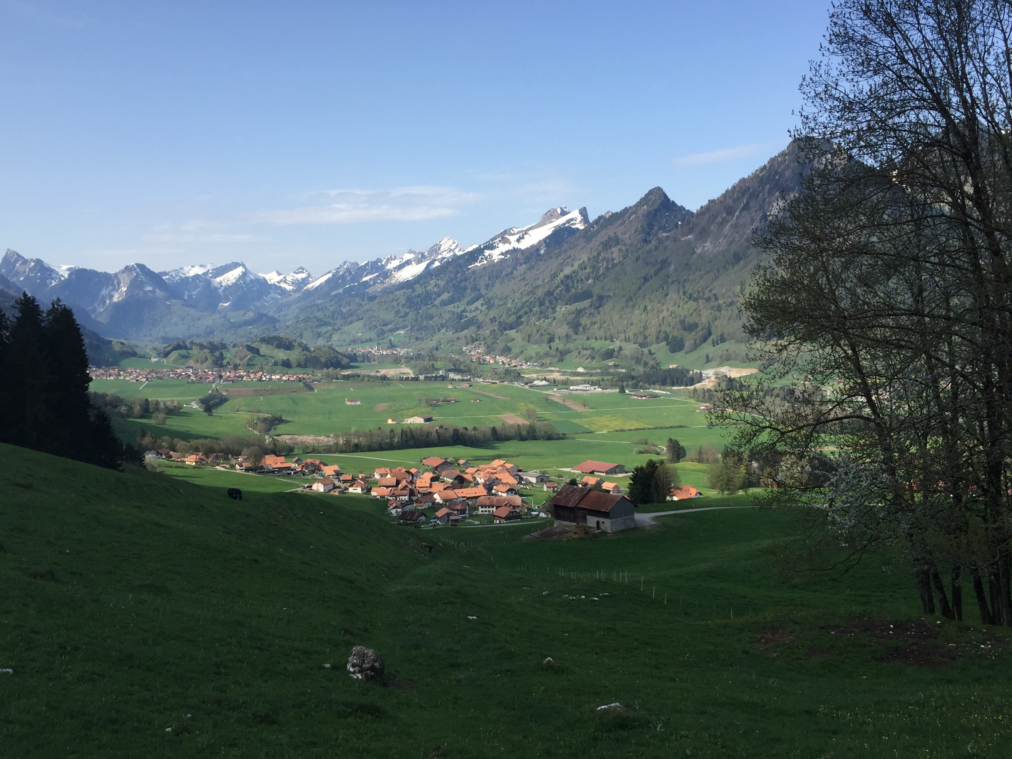photo de Col de la Forcla