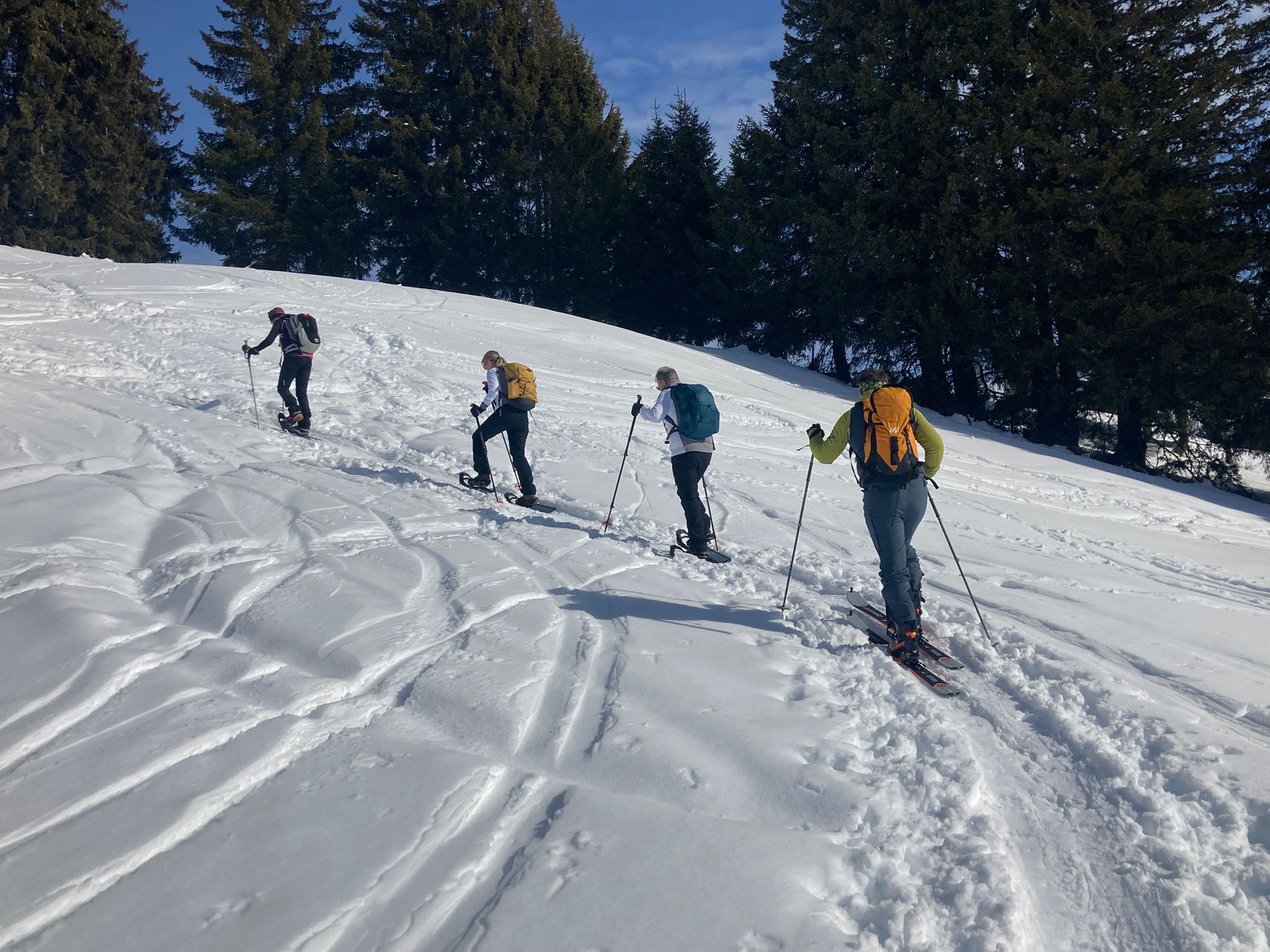 photo de Monts Chevreuils (Les)
