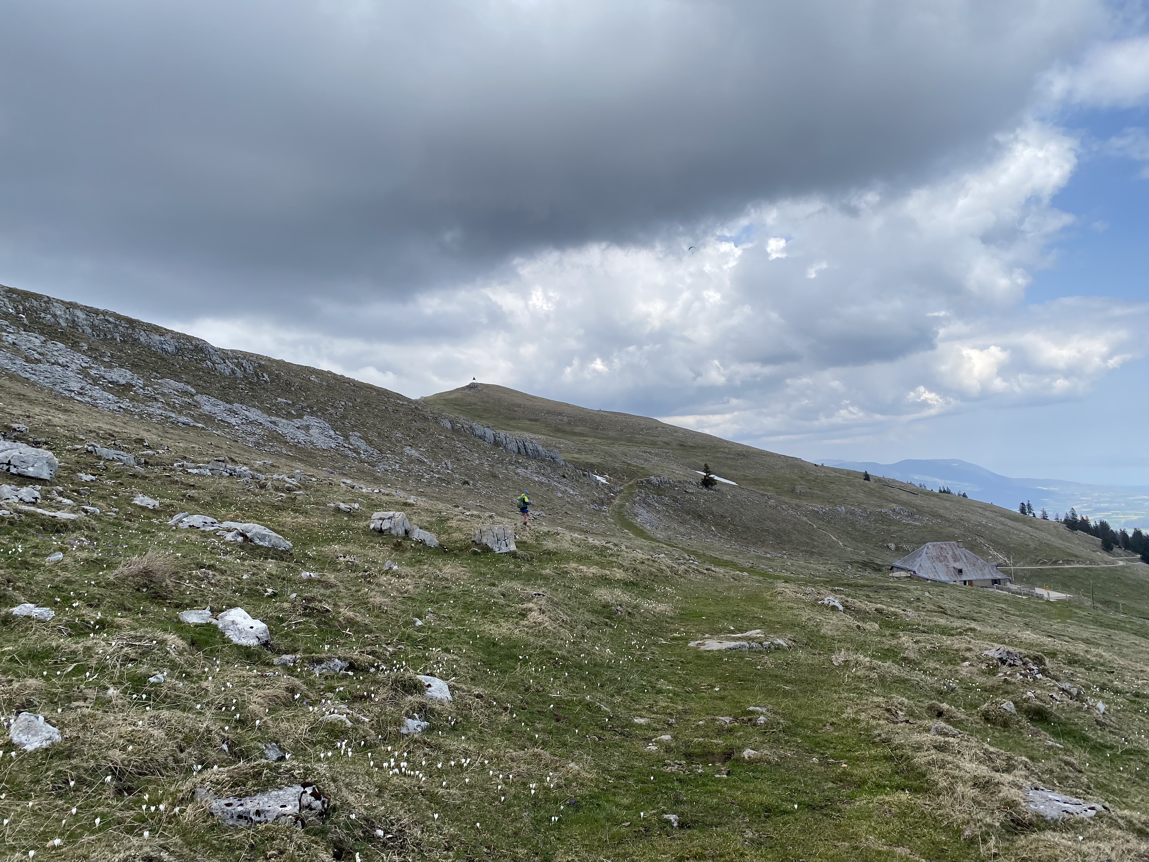 Descente en direction du chalet du Suchet