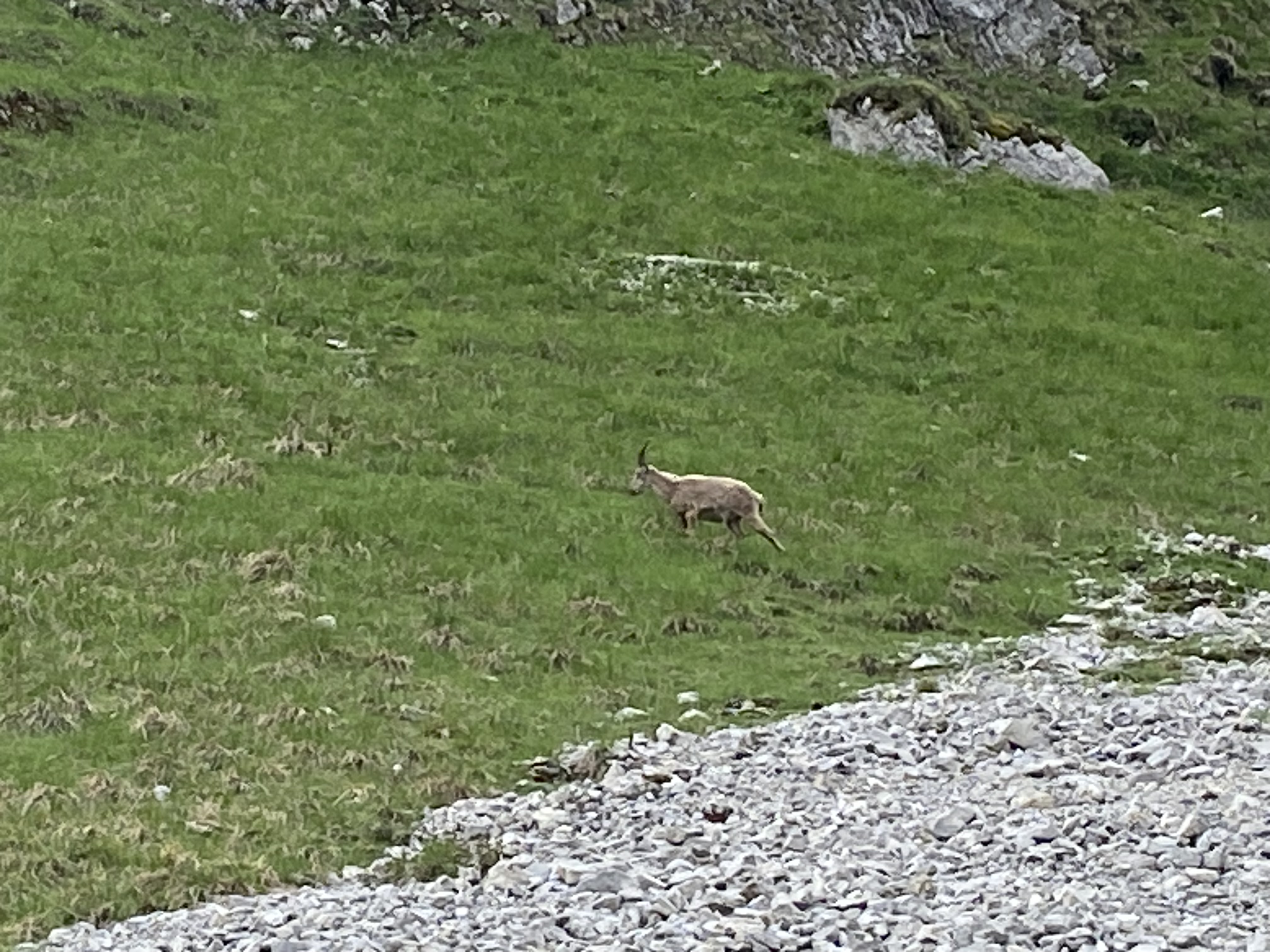 photo de Col de Pierra Perchia