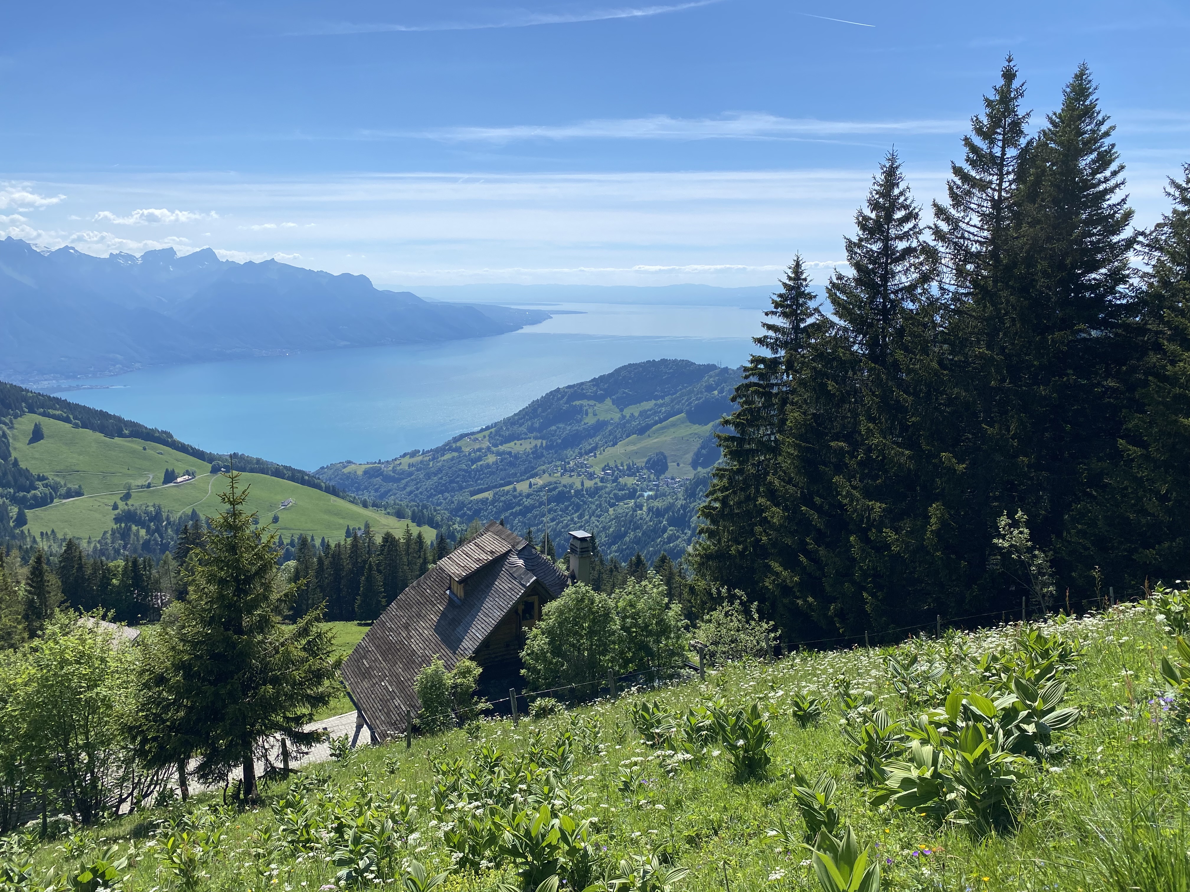 Vue sur le lac Léman