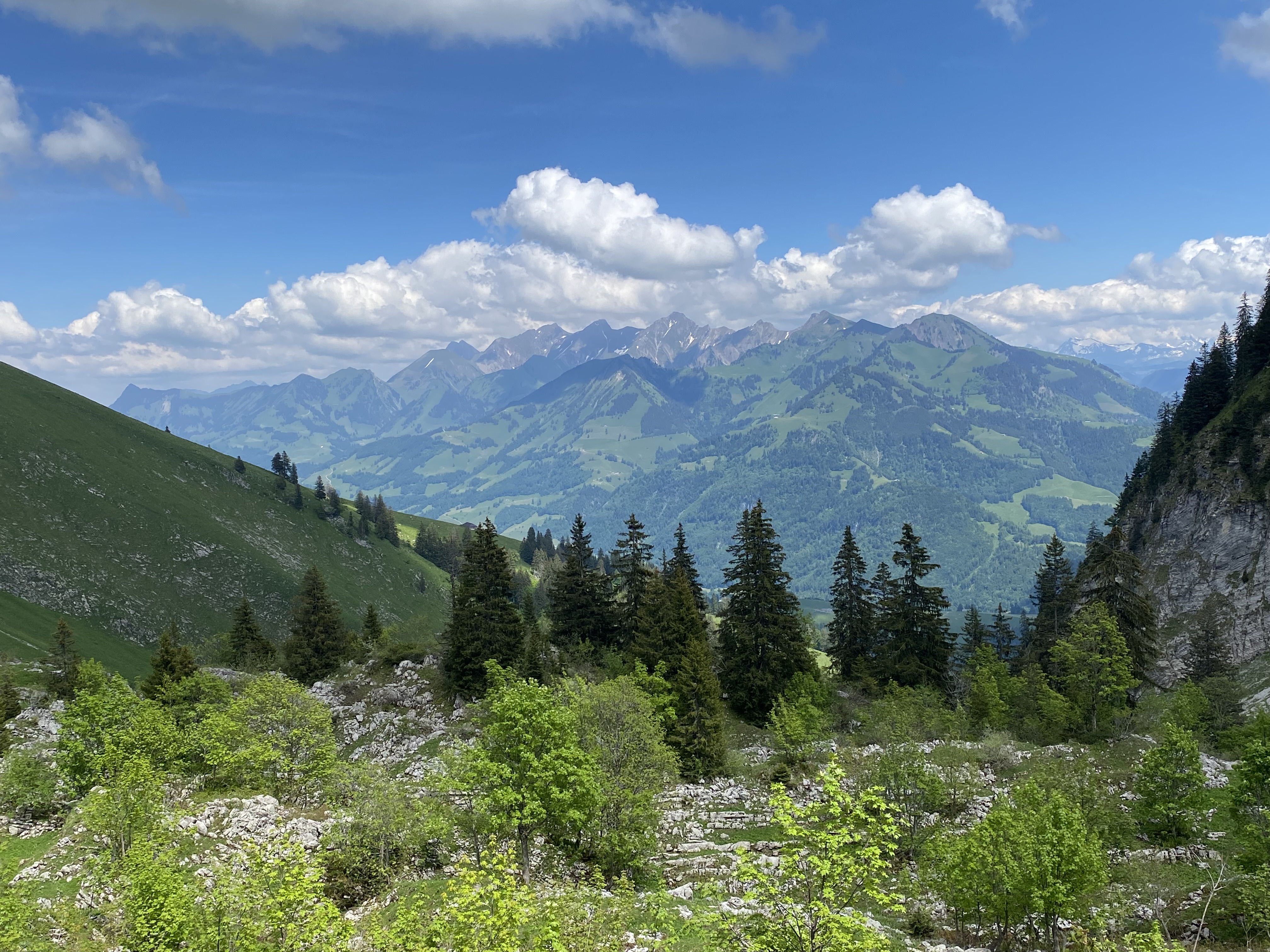 photo de Col de Pierra Perchia