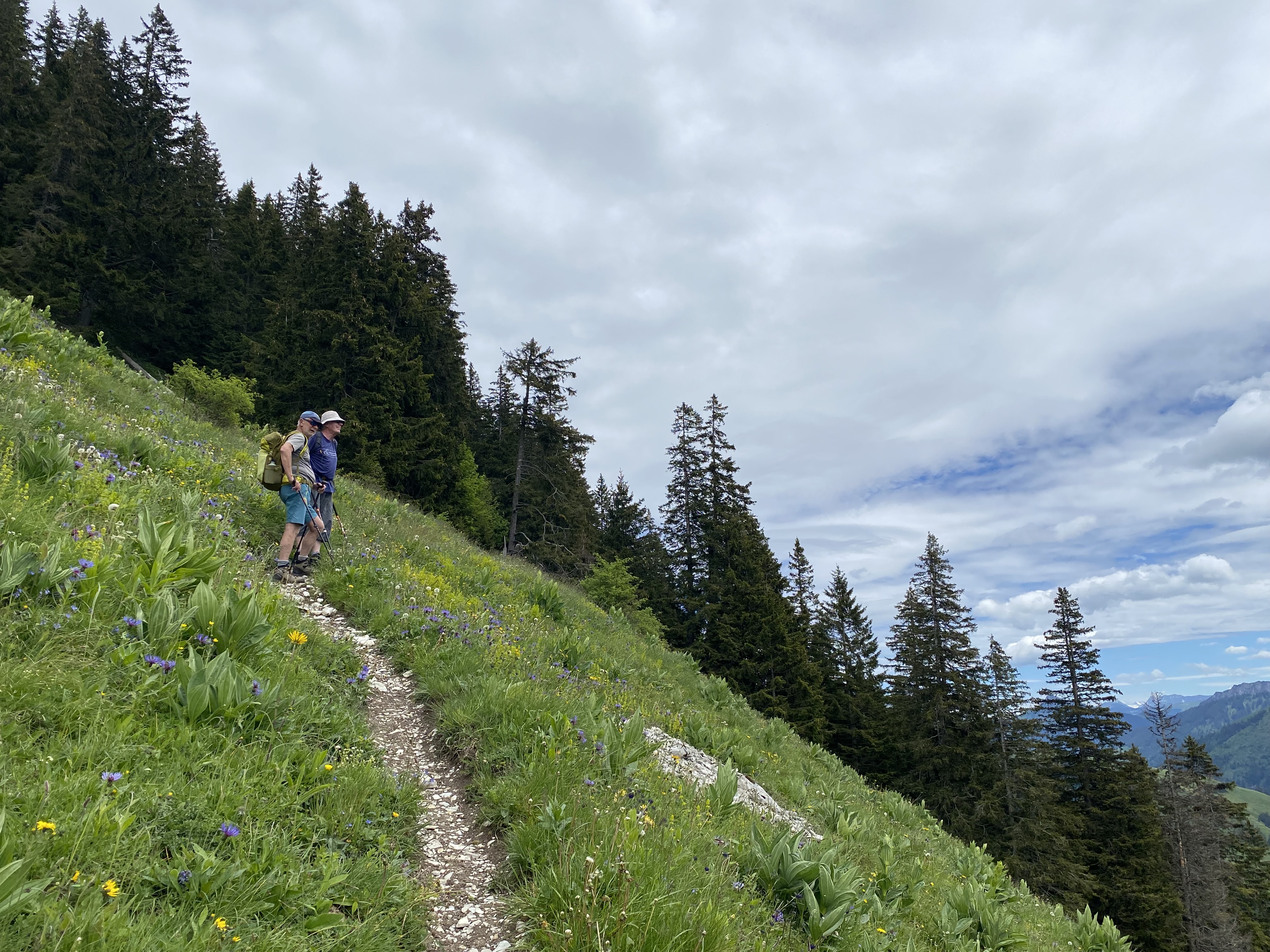 photo de Dent du Chamois