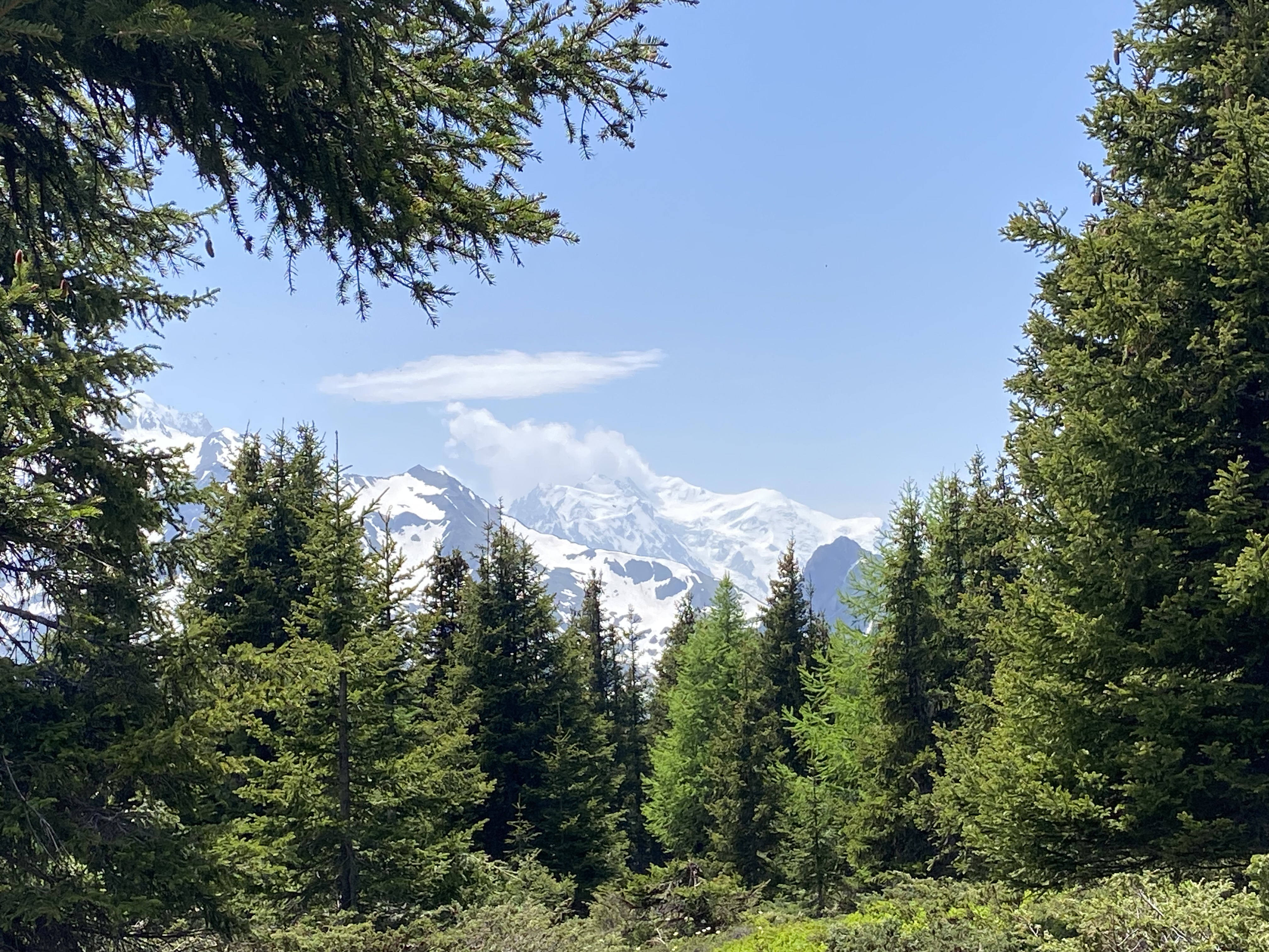 photo de Mont de l'Arpille