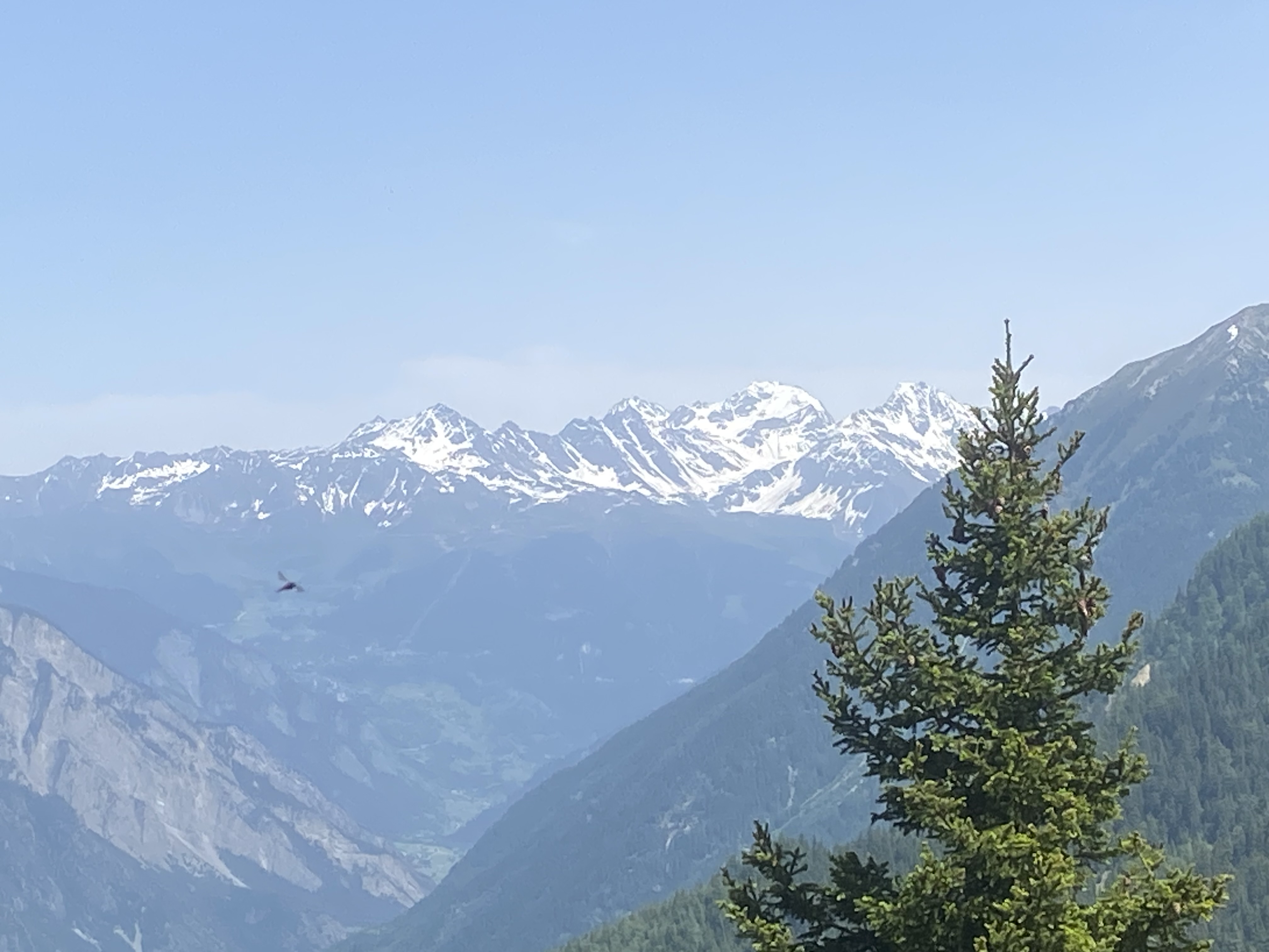 Vue sur le Mont Fort au centre